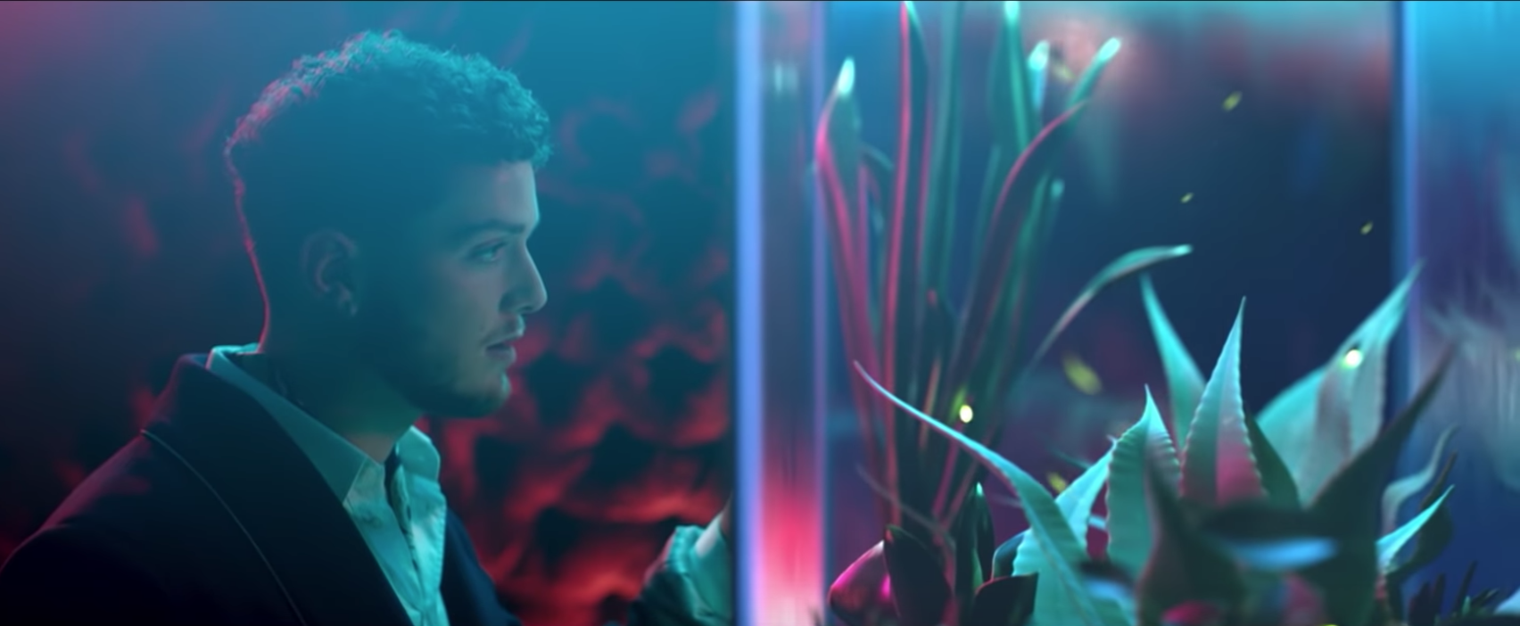 Screen Shot 2018-11-01 at 7.19.19 PM.png