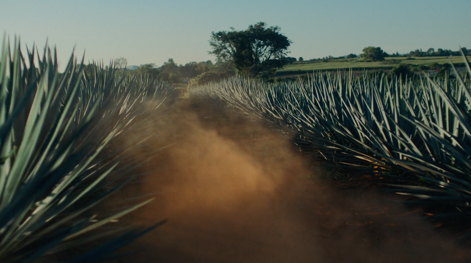 Screen Shot 2021-01-19 at 10.02.30 PM.png