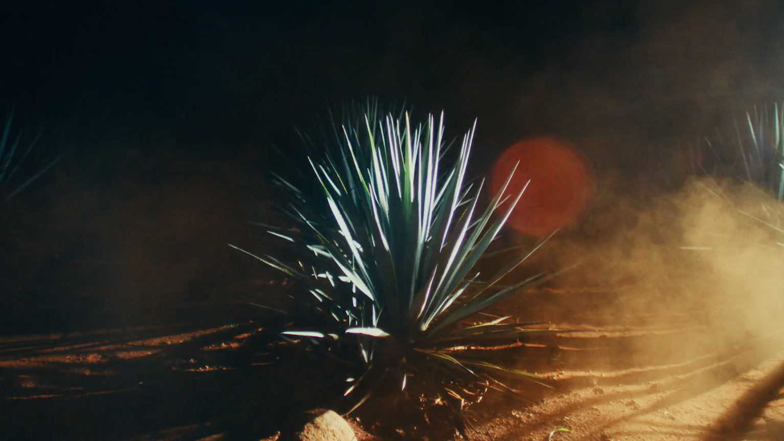 Screen Shot 2021-01-19 at 10.03.10 PM.png