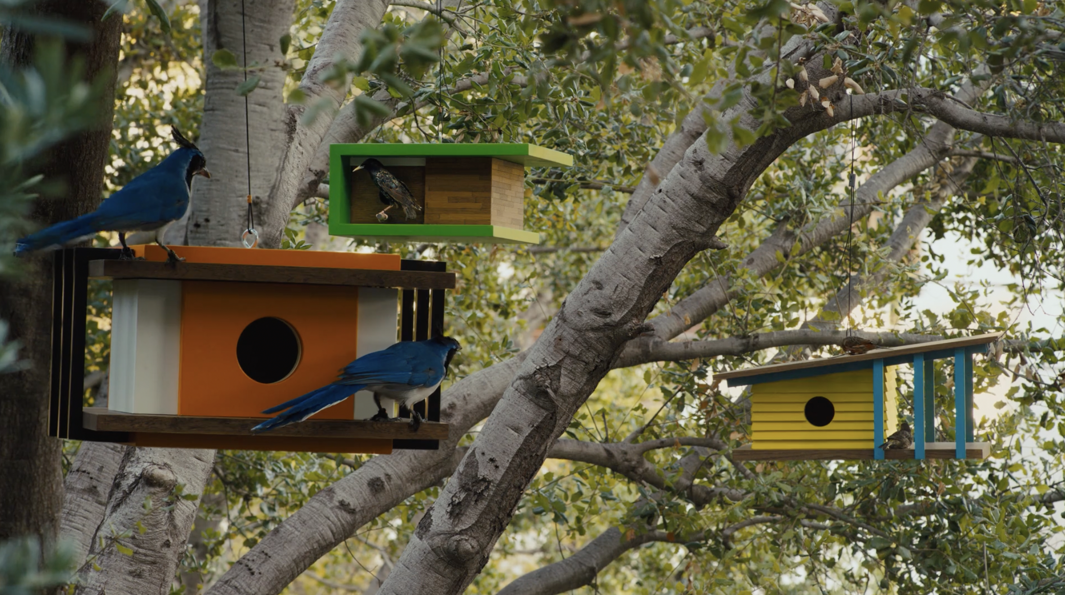 Screen Shot 2022-06-28 at 3.26.20 PM.png