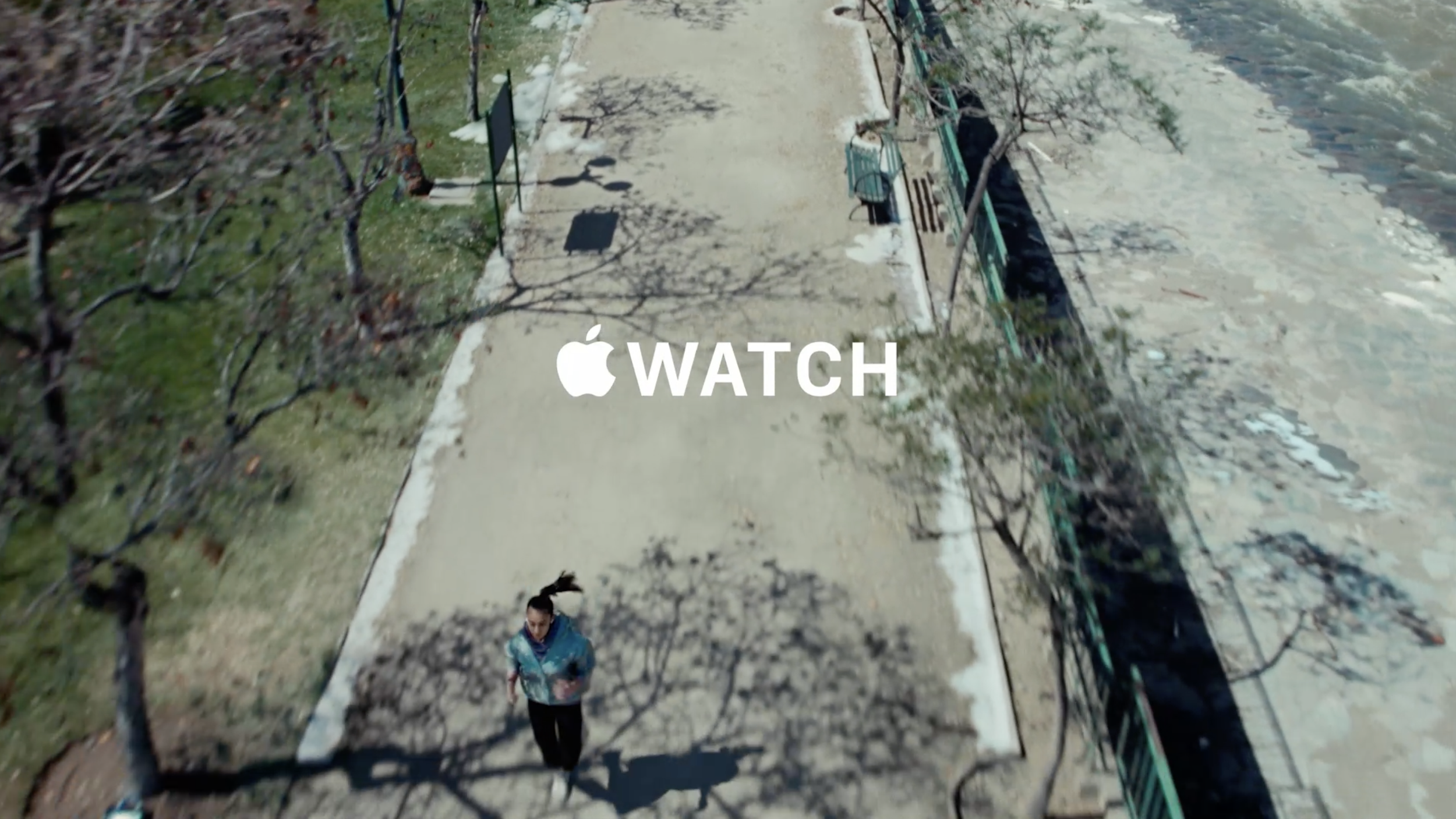 Screenshot 2026-02-12 at 12.37.06 PM.png