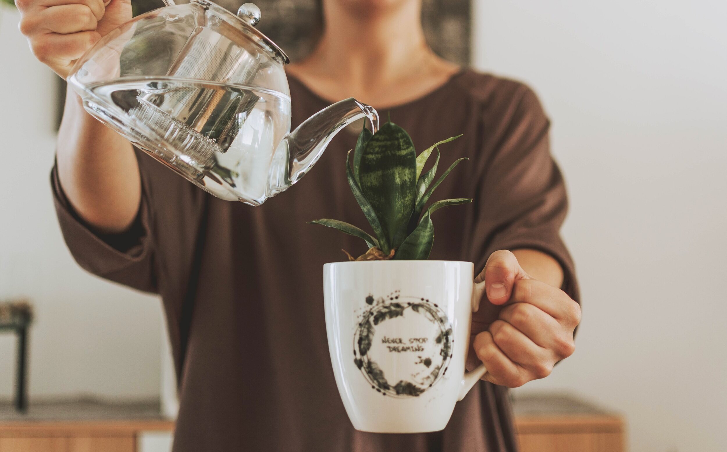 woman-watering-plant-in-cup-3050832.jpg