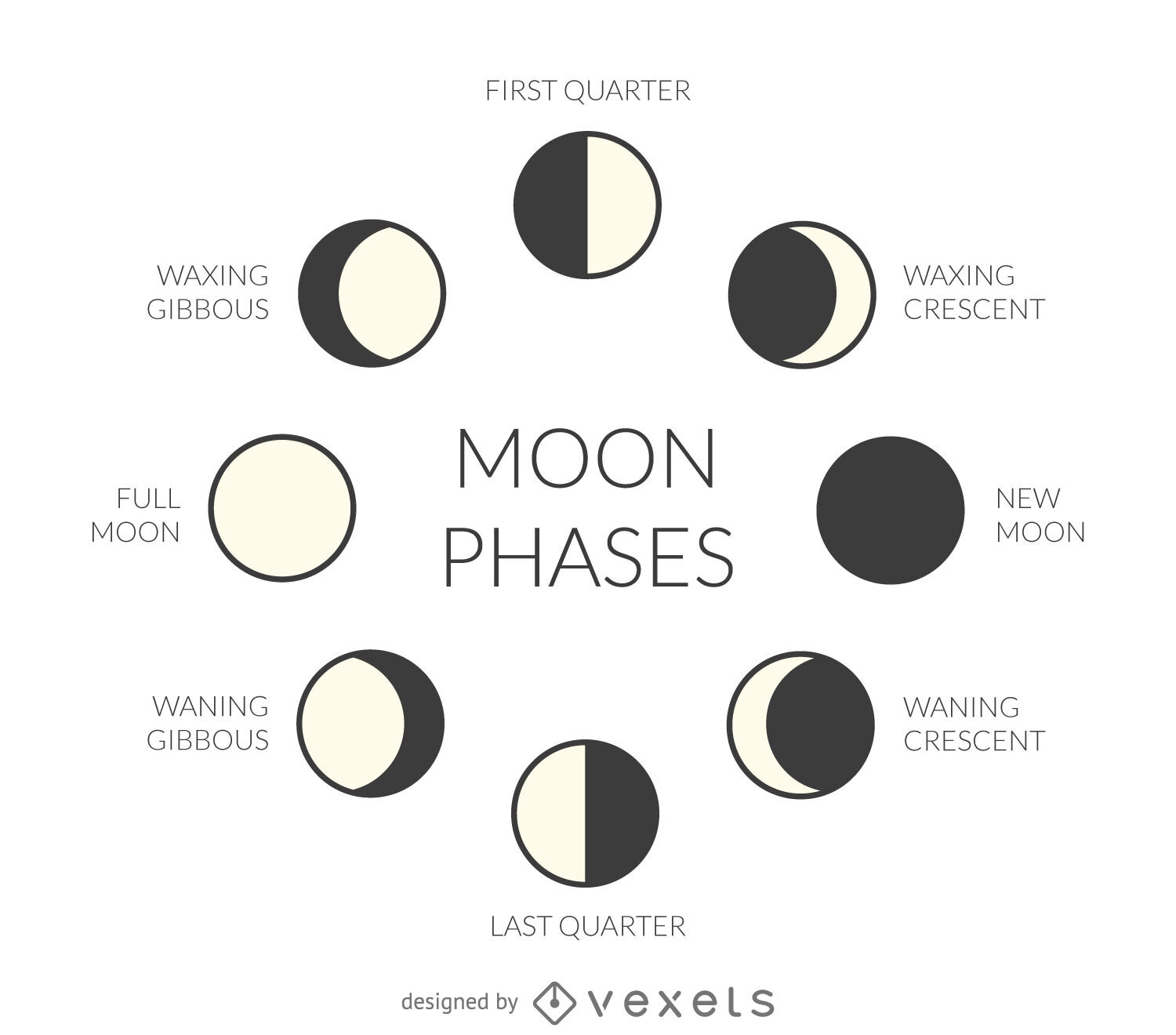 299bb9c20f156020305e519c468d8f02-illustrated-moon-phases.jpg