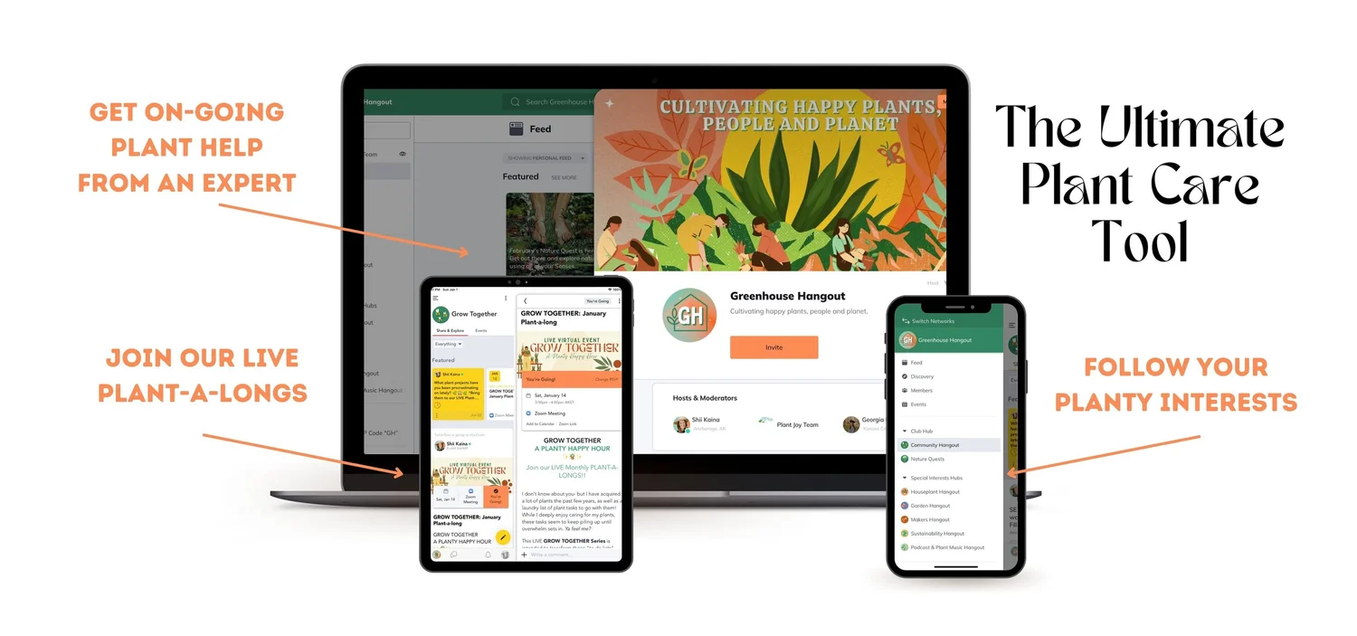 Linktree Among The Jungle