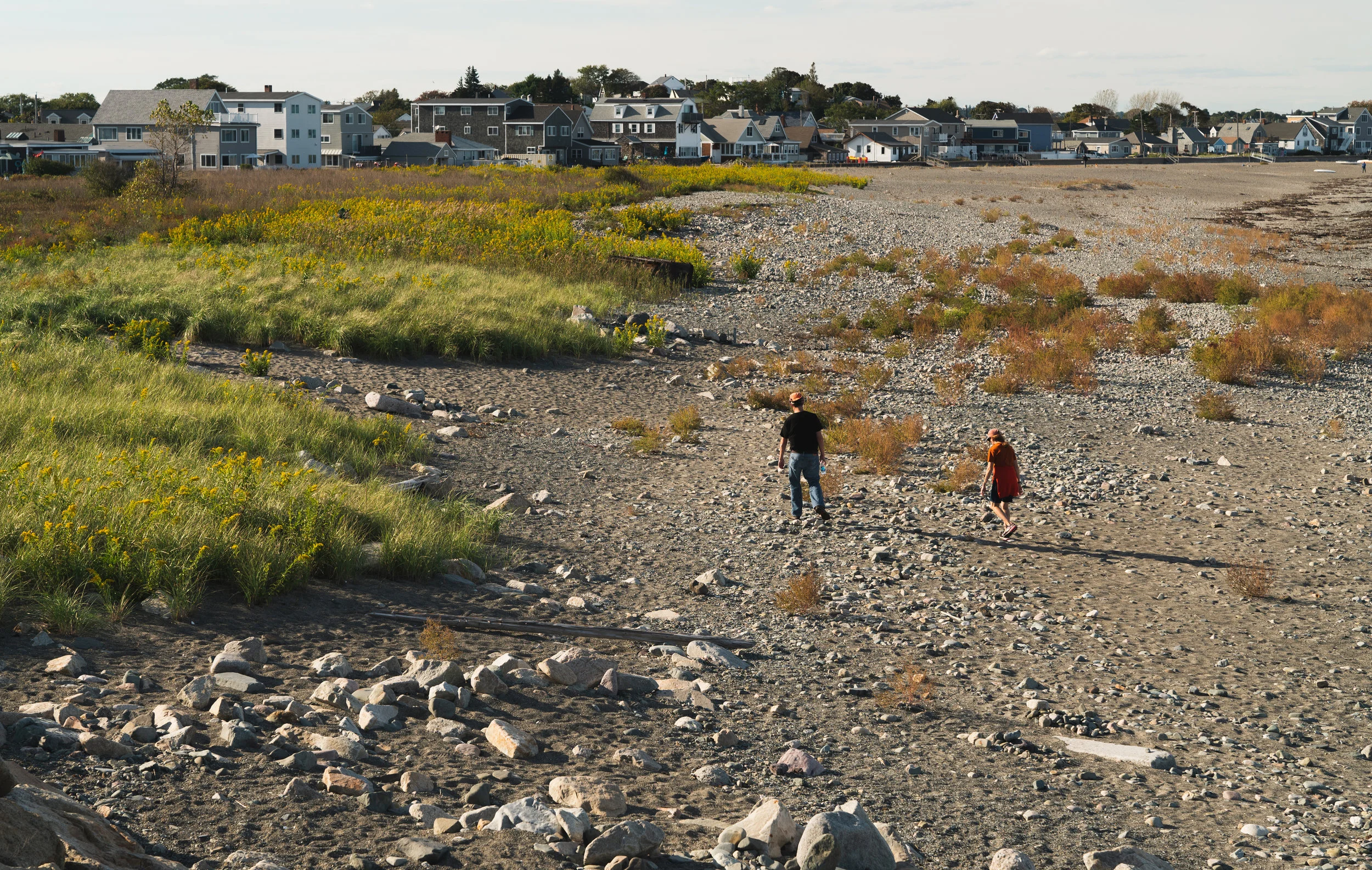 DeerIsland-1-61.jpg