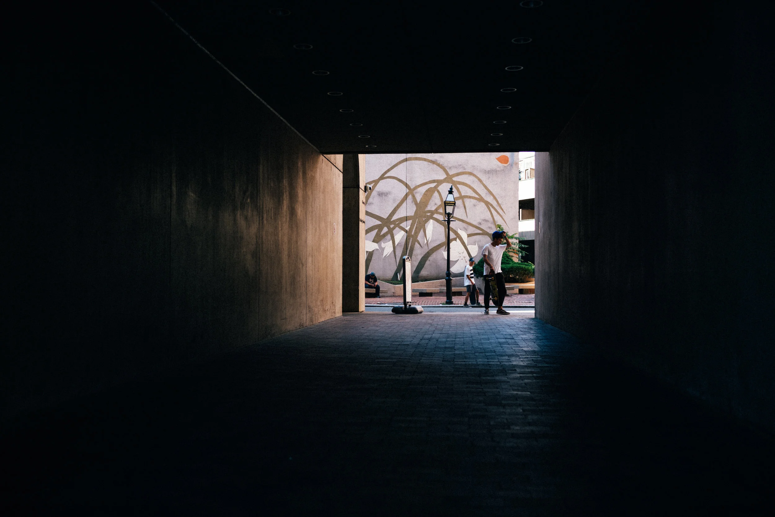 tunnel-1.jpg