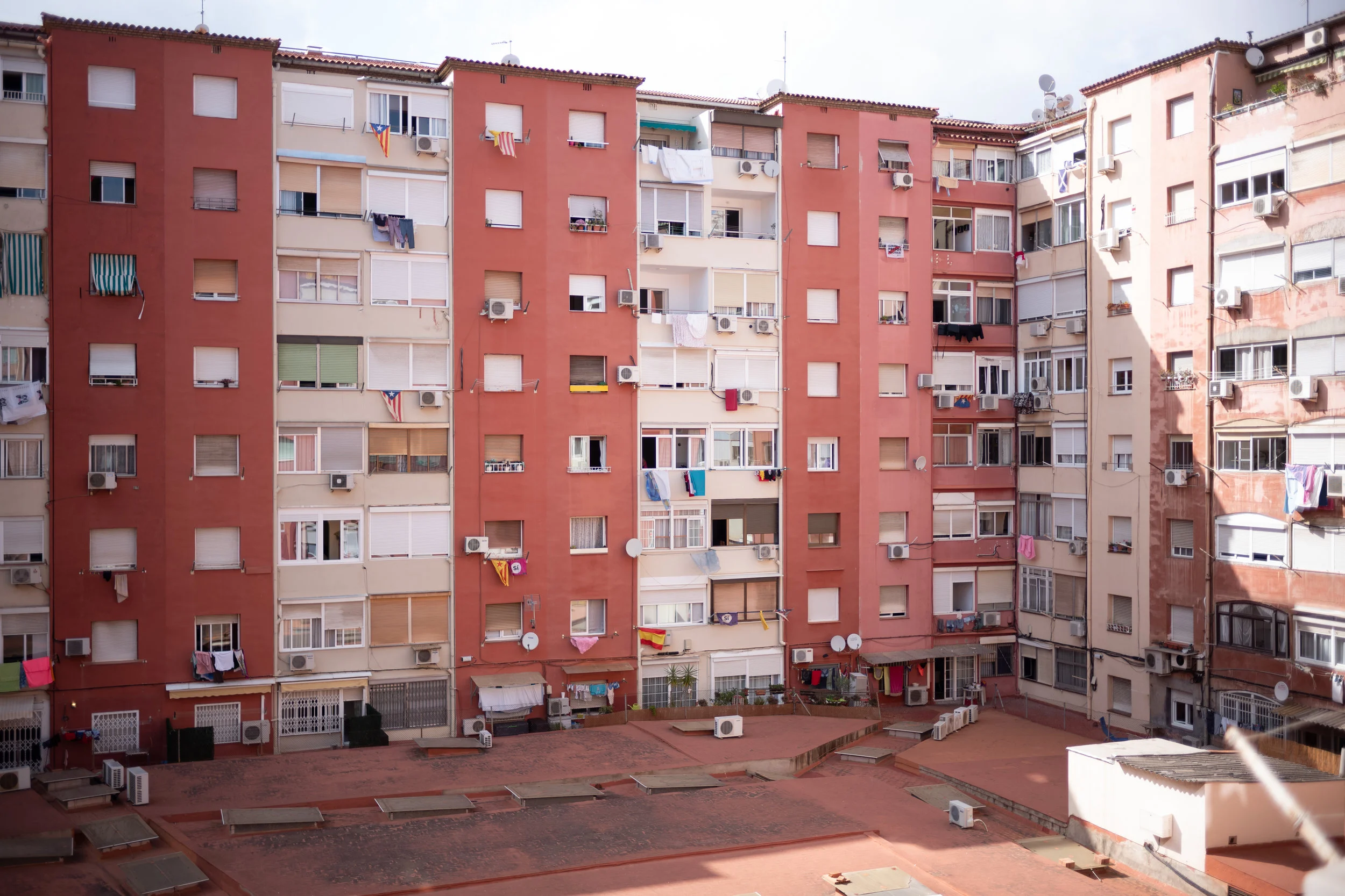 bas123455111111.jpg