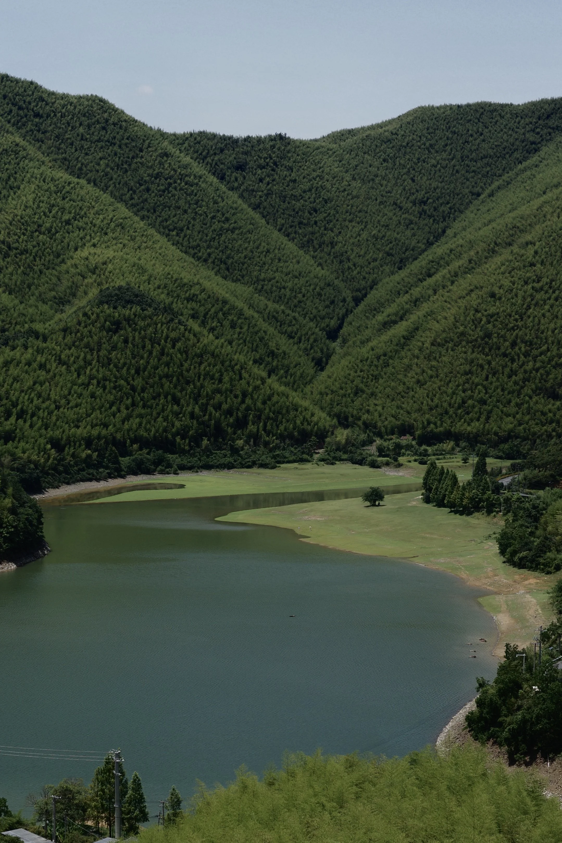 R0003619.jpg