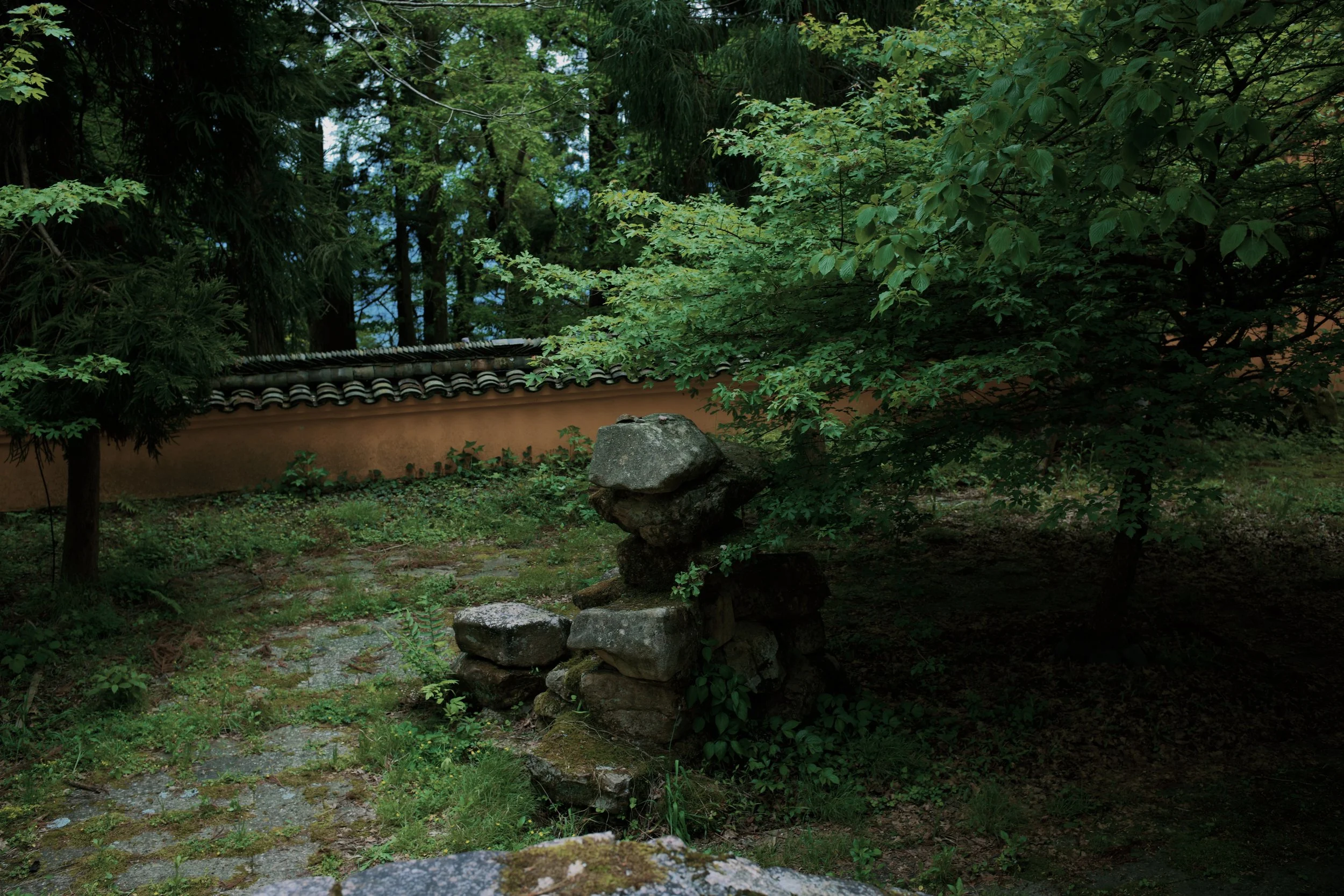 IMG_0837.JPG