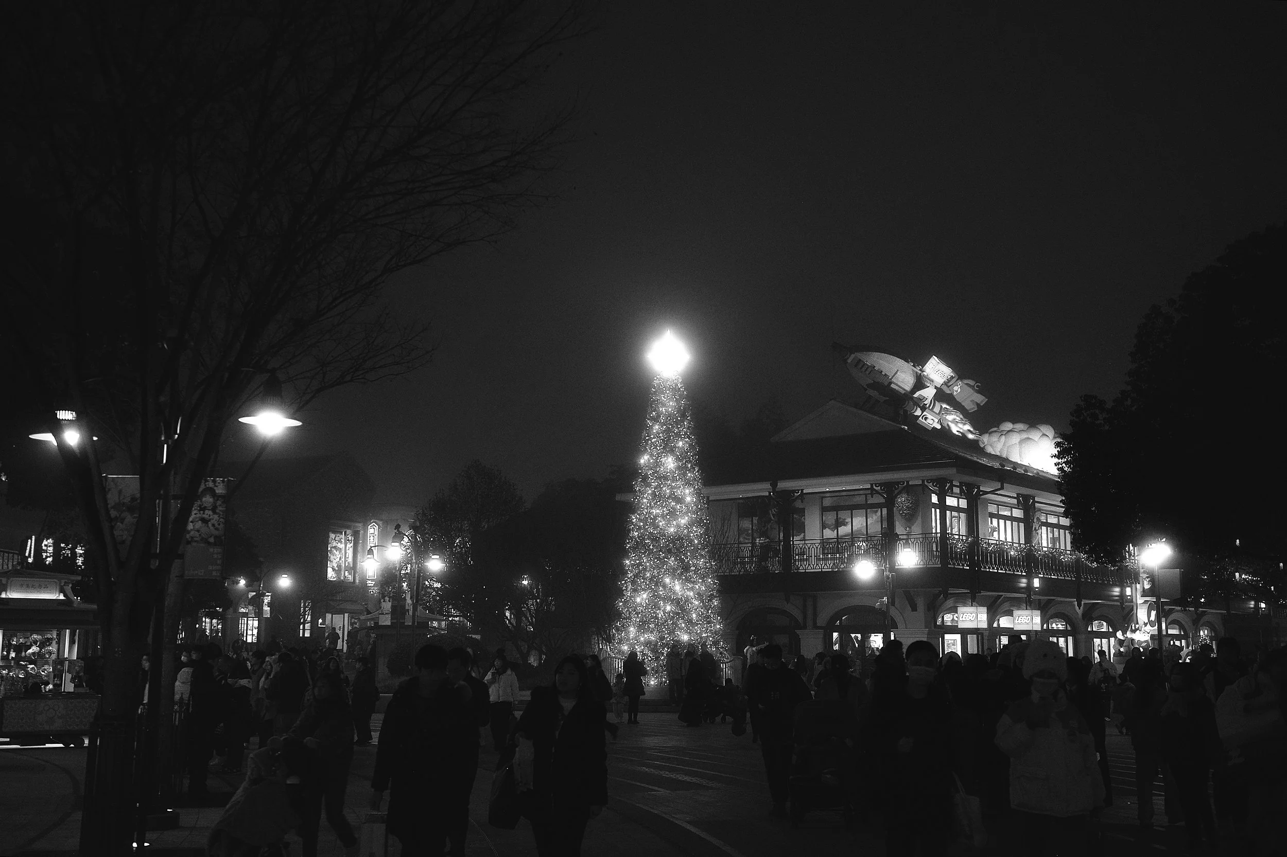 R0009432.JPG