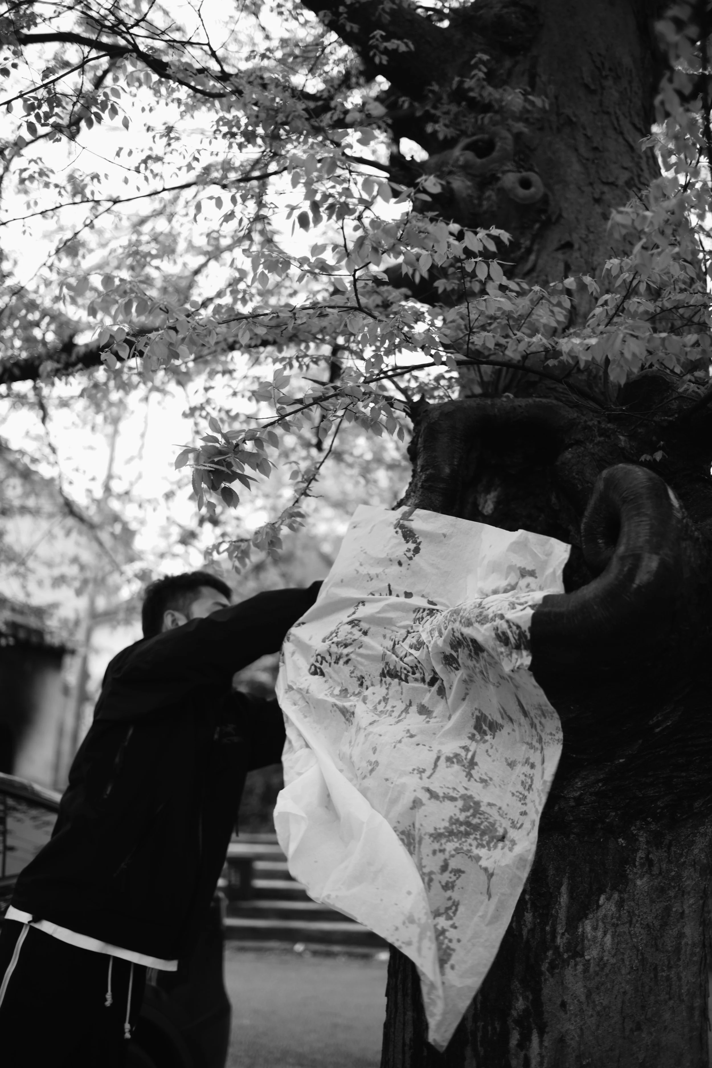 L1002030_VSCO.jpg