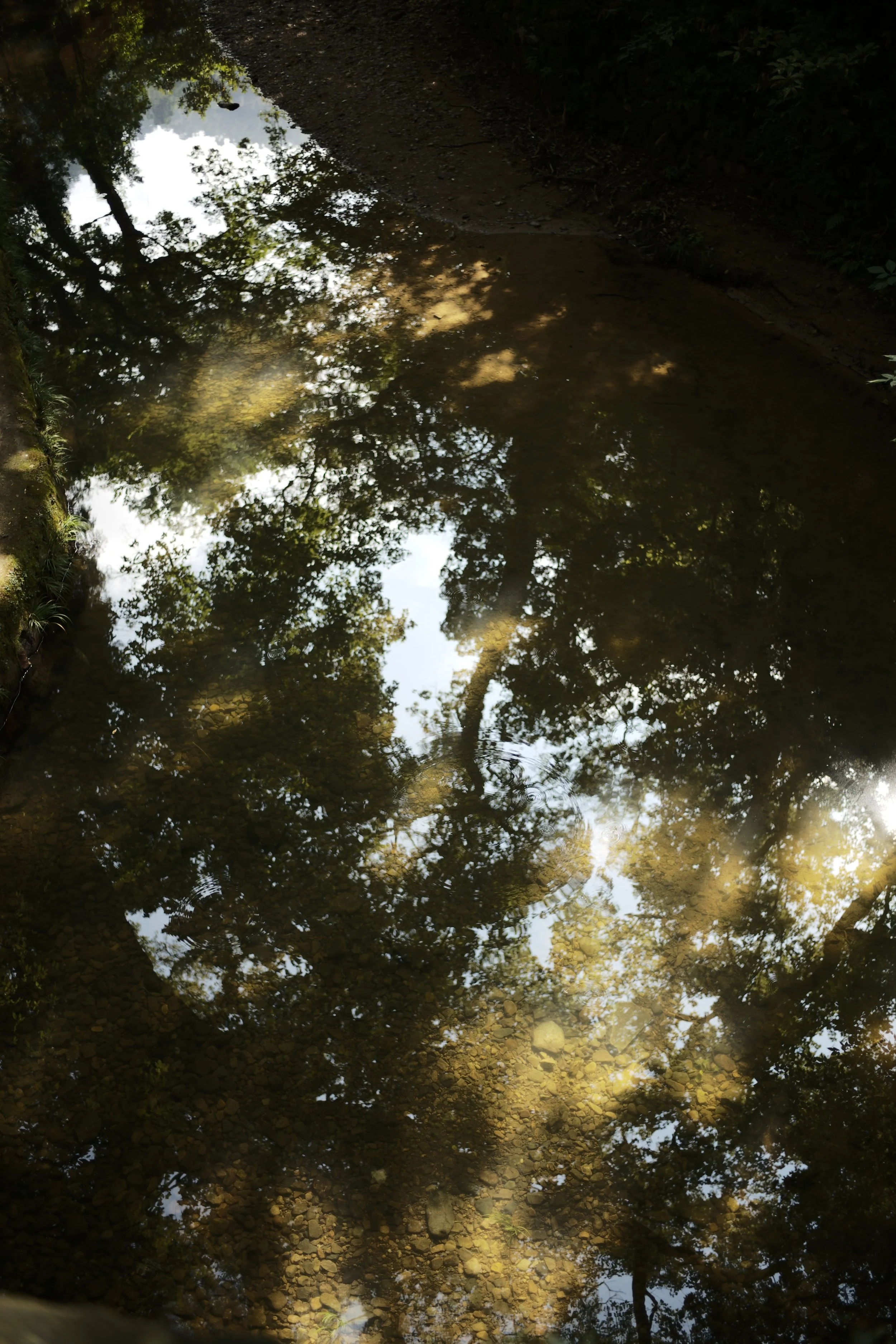 L1002969.JPG