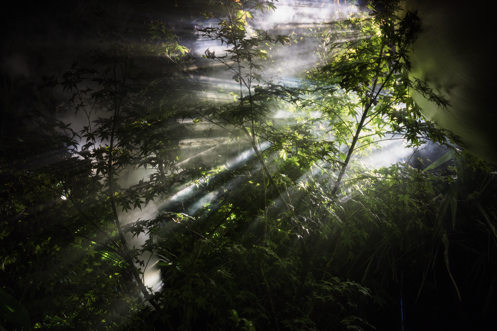 DSC05645-编辑.png