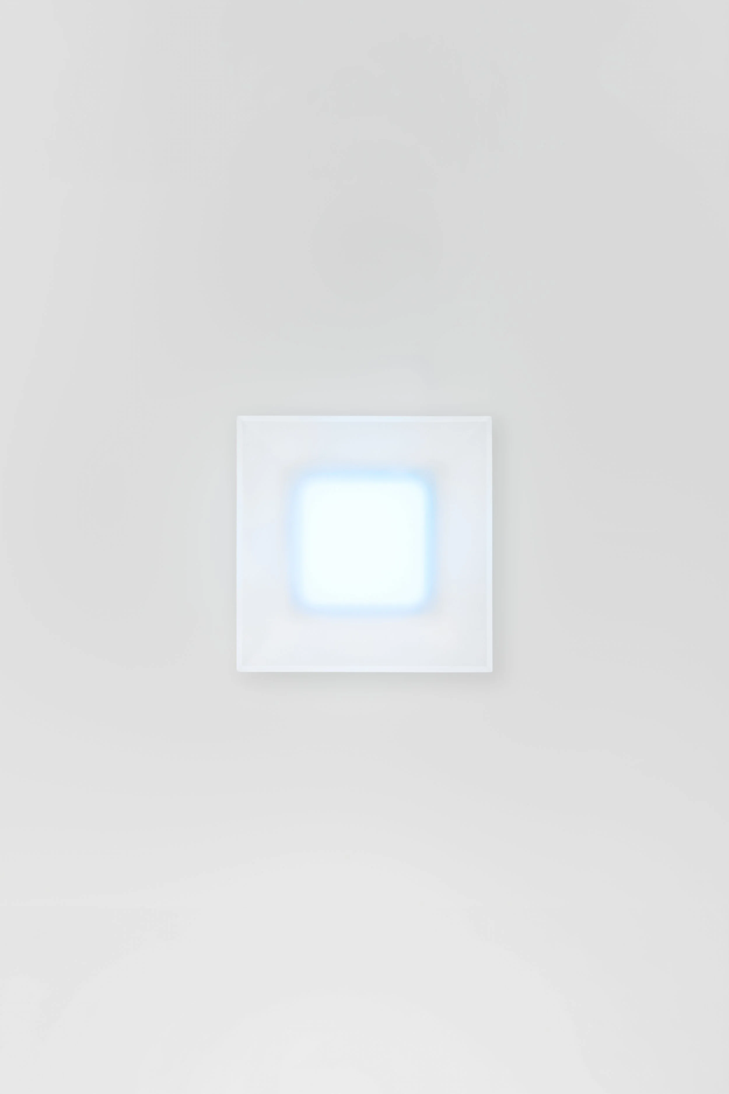 Capture One Catalog0488 1.jpg