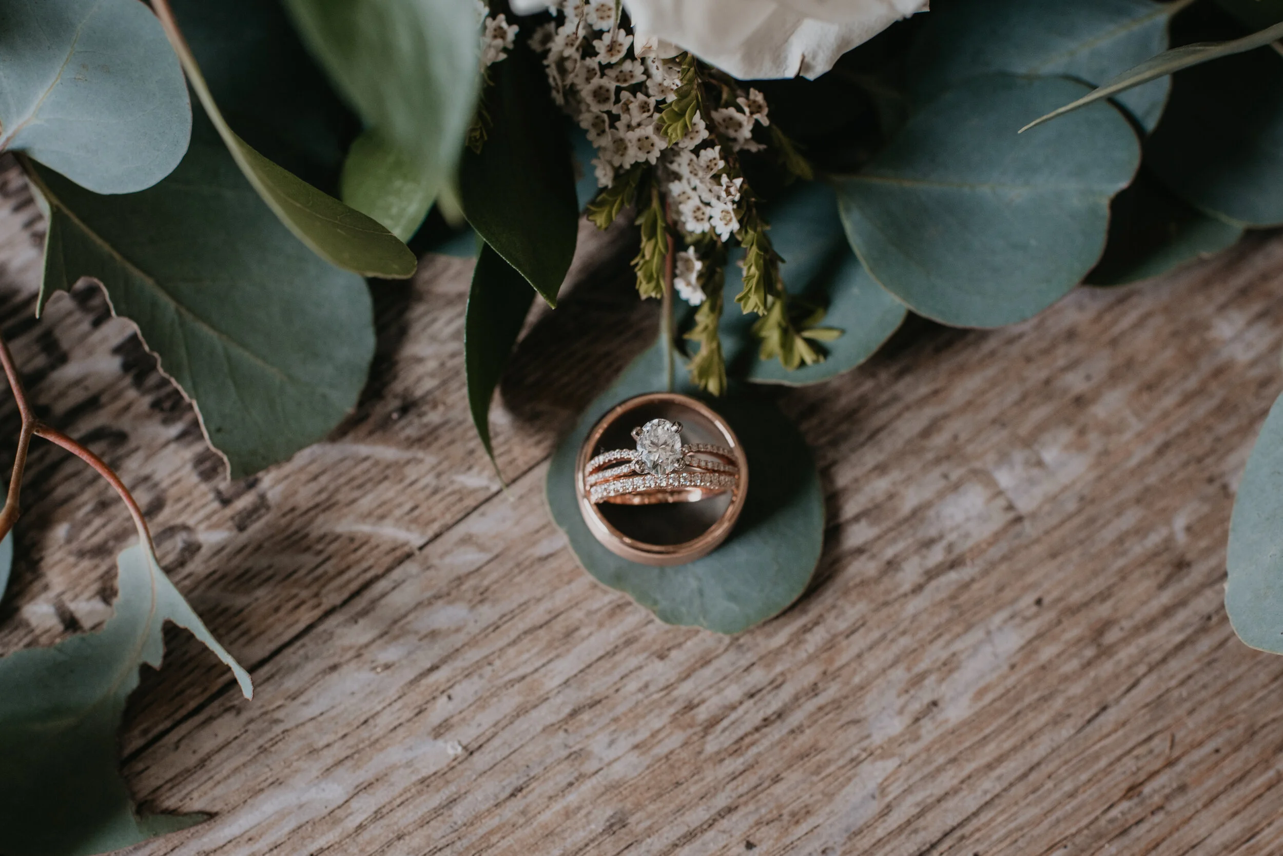 FramptonWedding-2987.jpg