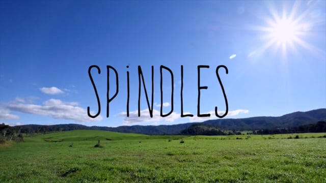 Spindles