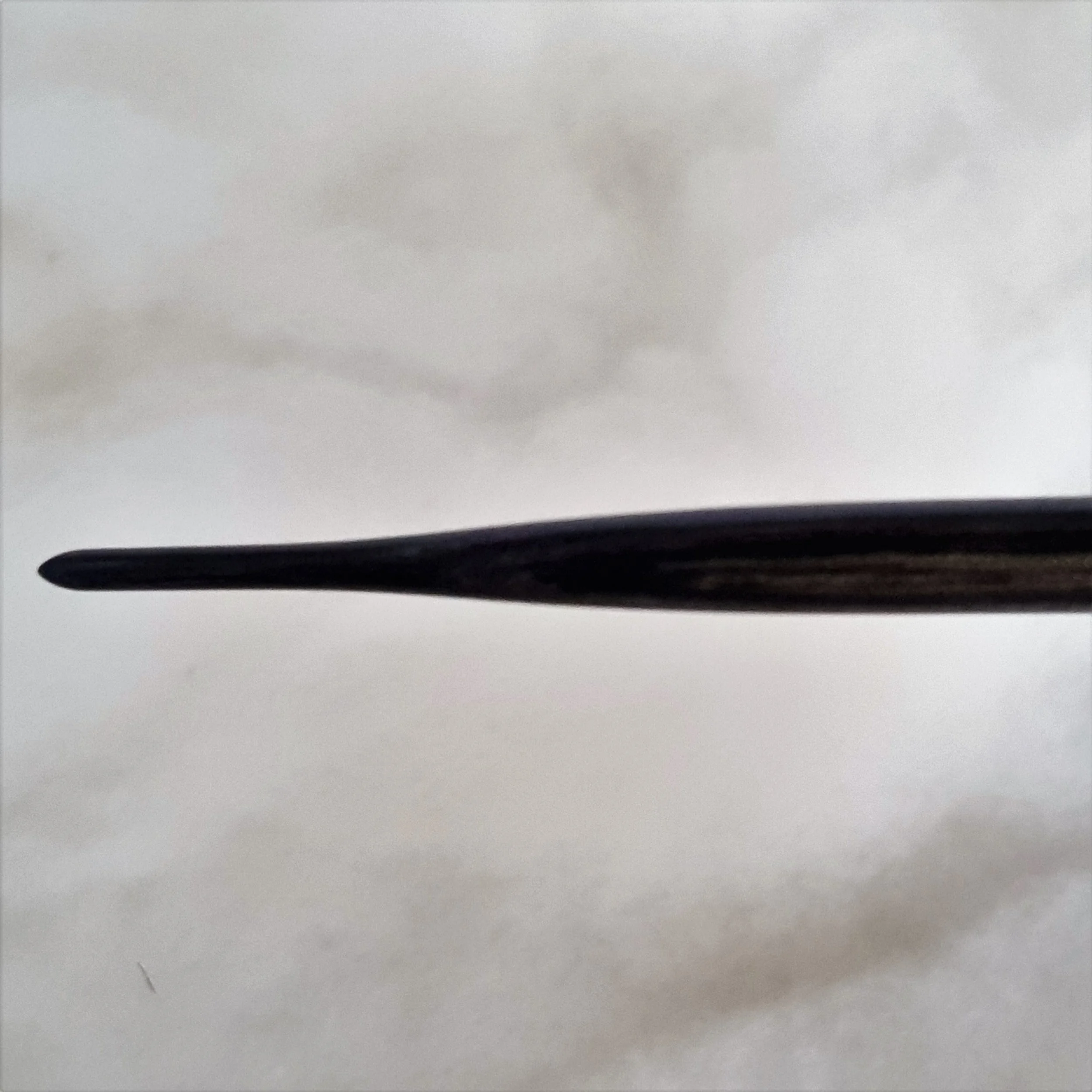 20190214_080455.jpg