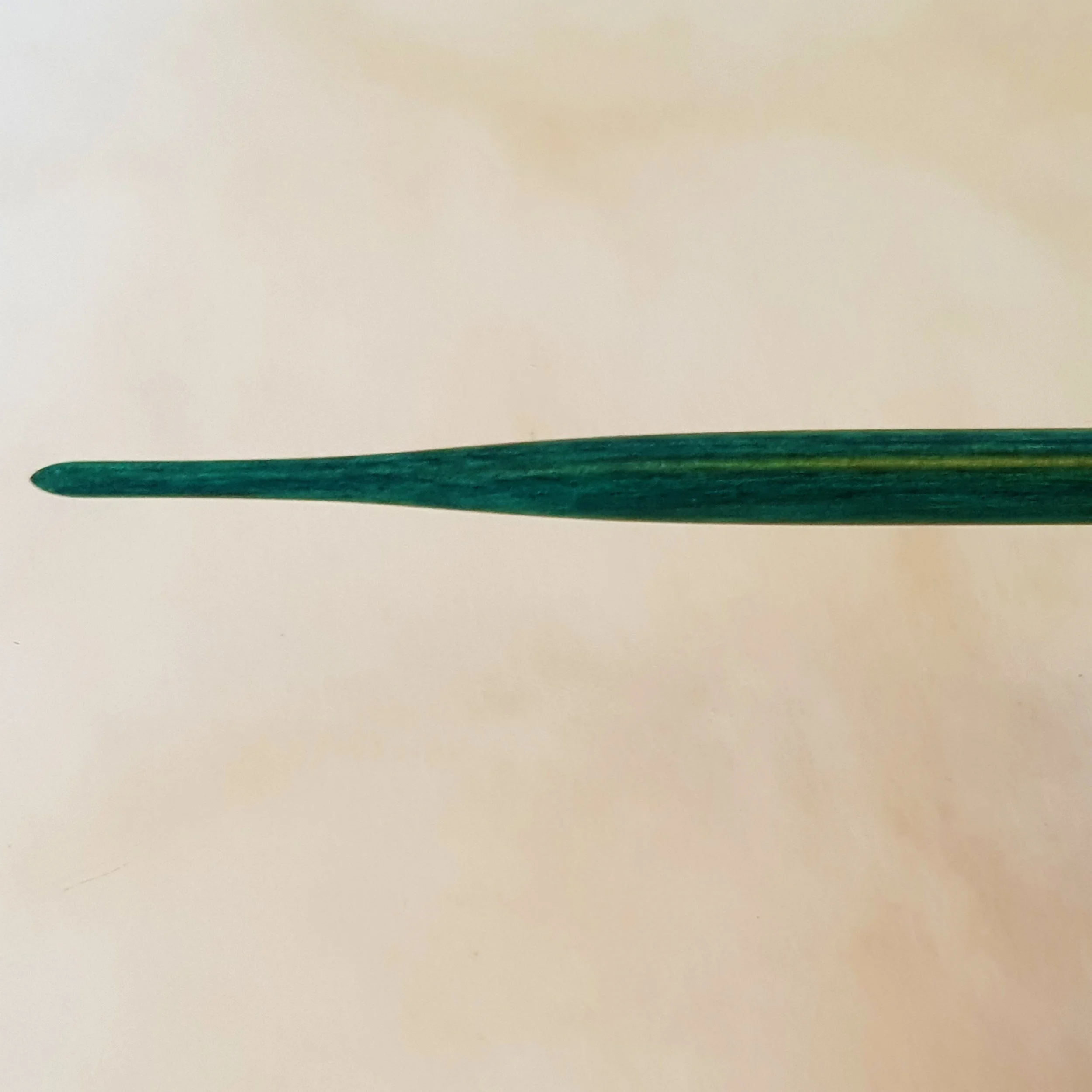 20190828_163853.jpg