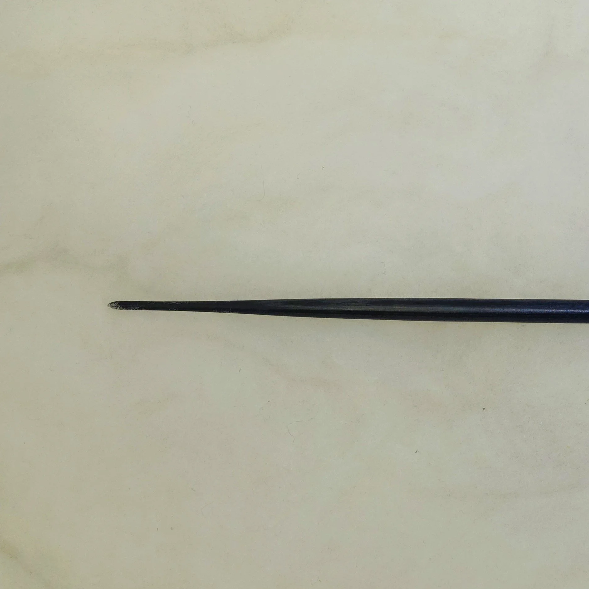 DSC02041 - Copy.JPG