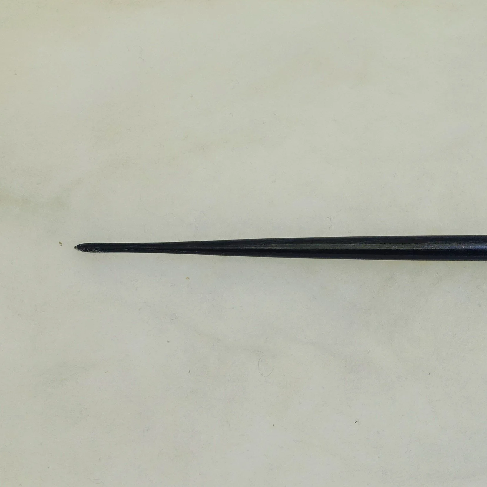 DSC02816 - Copy.JPG