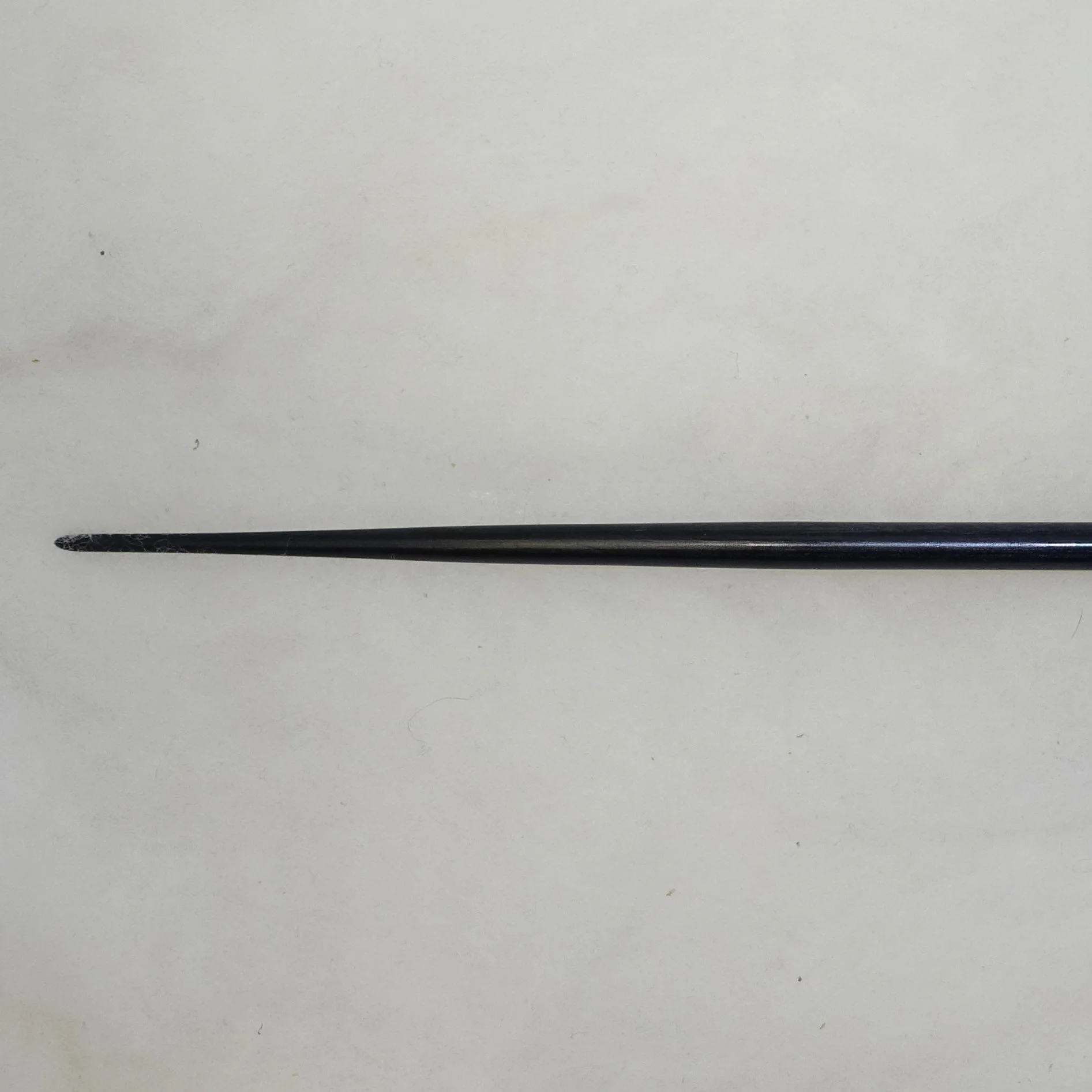 DSC04358 - Copy.JPG