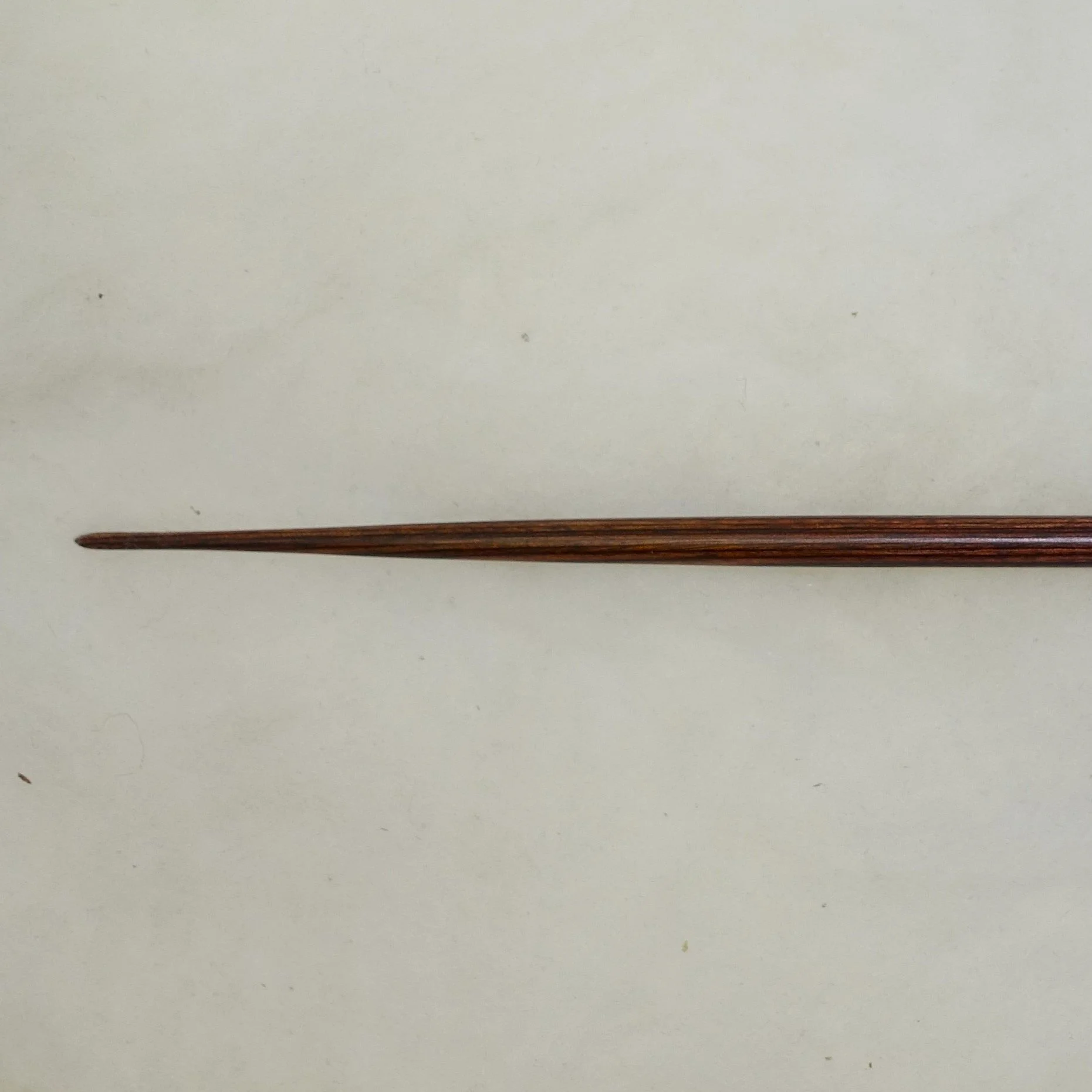 DSC05049 - Copy.JPG