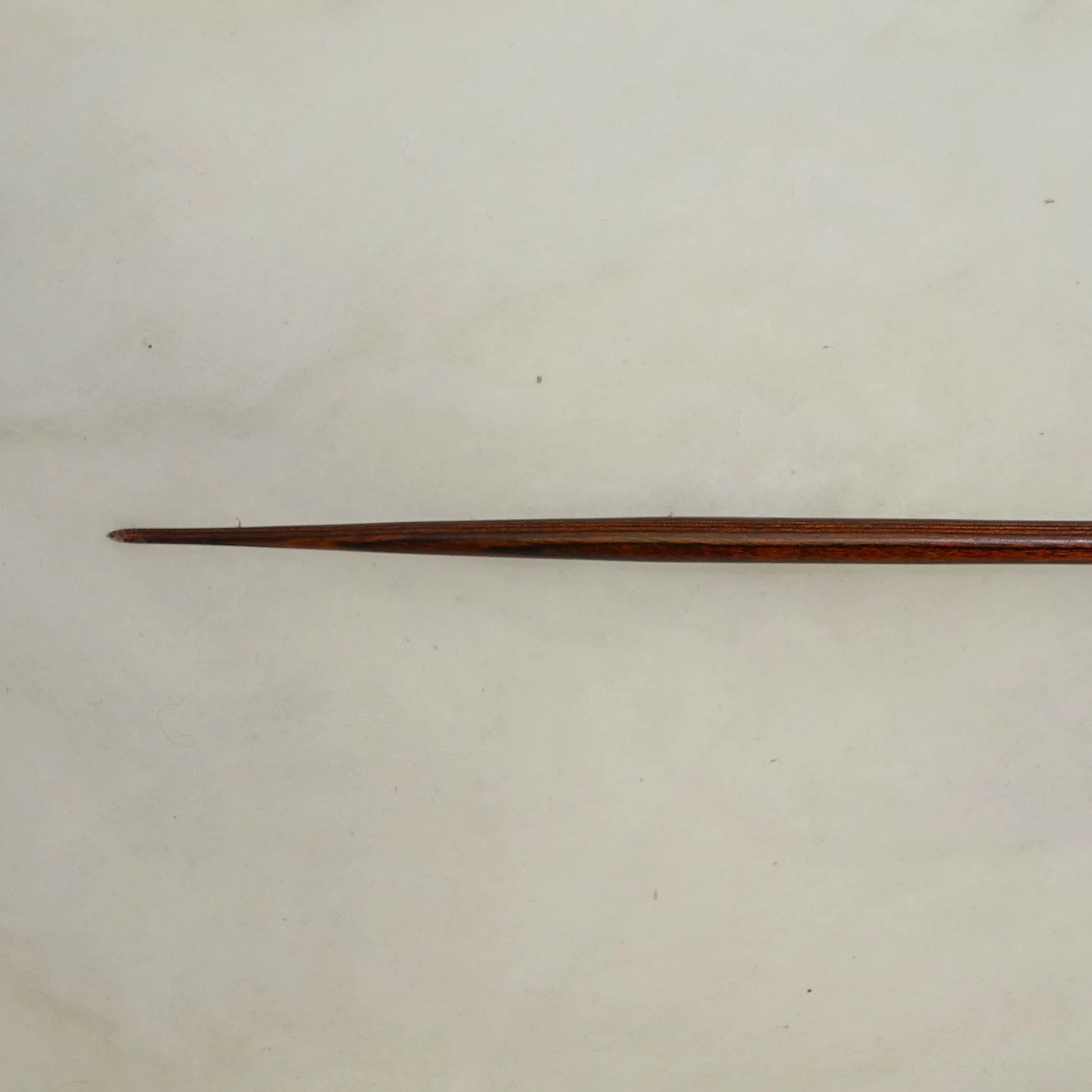 DSC05160 - Copy.JPG