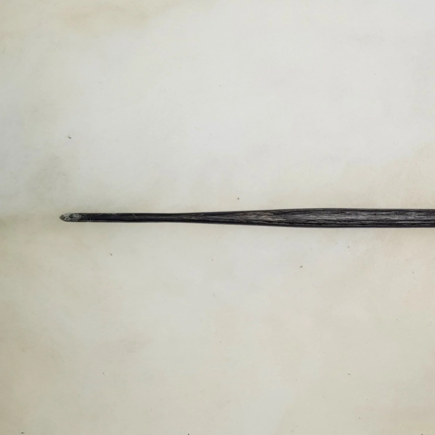 20260209_101615 - Copy.jpg