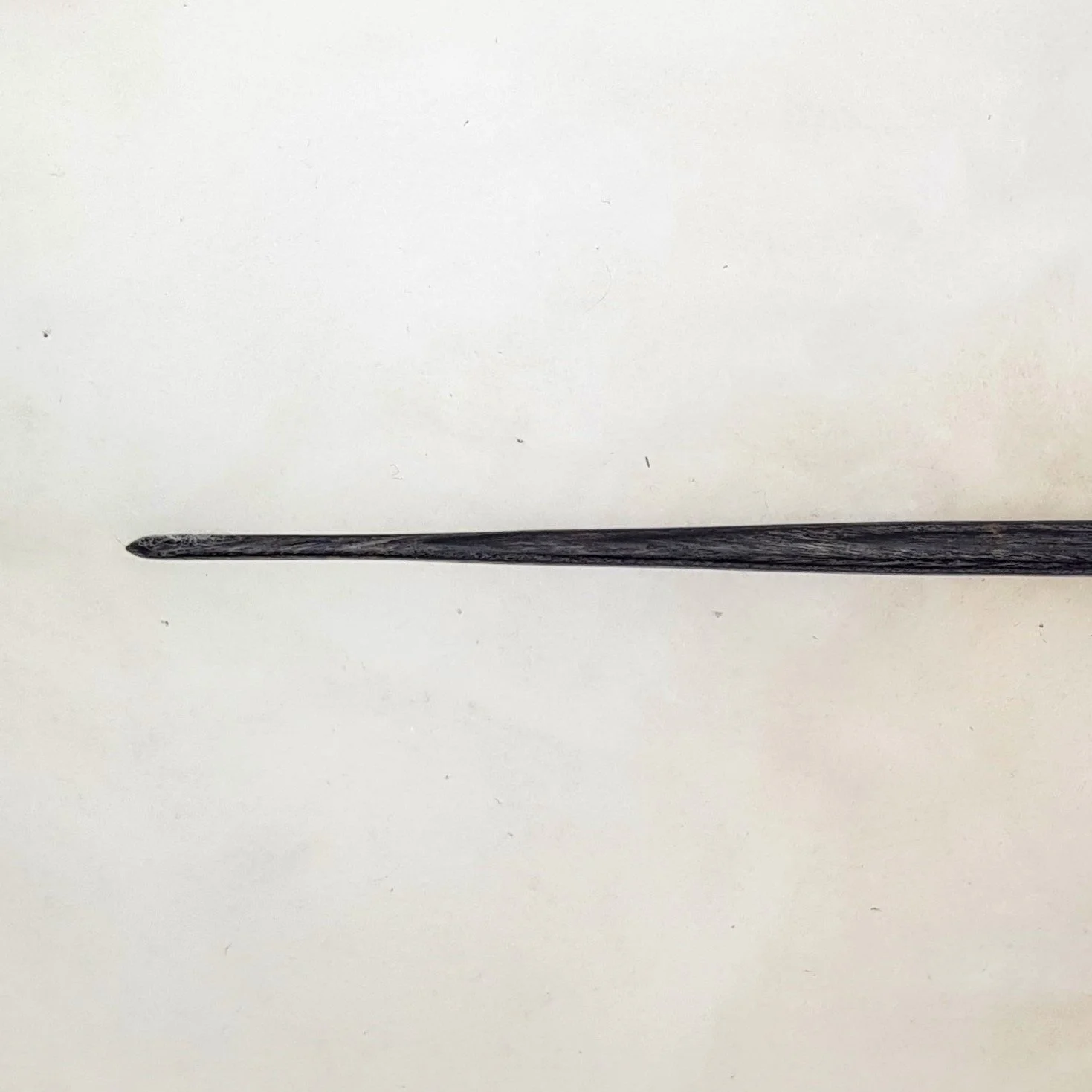 20251020_082541 - Copy.jpg (Copy)