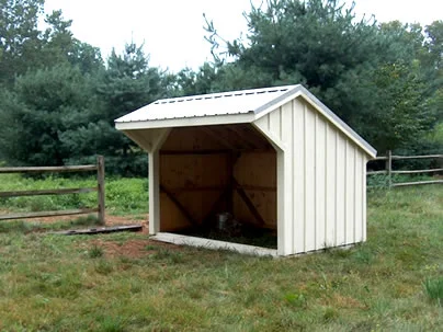runin_small_animal_shelter.jpg