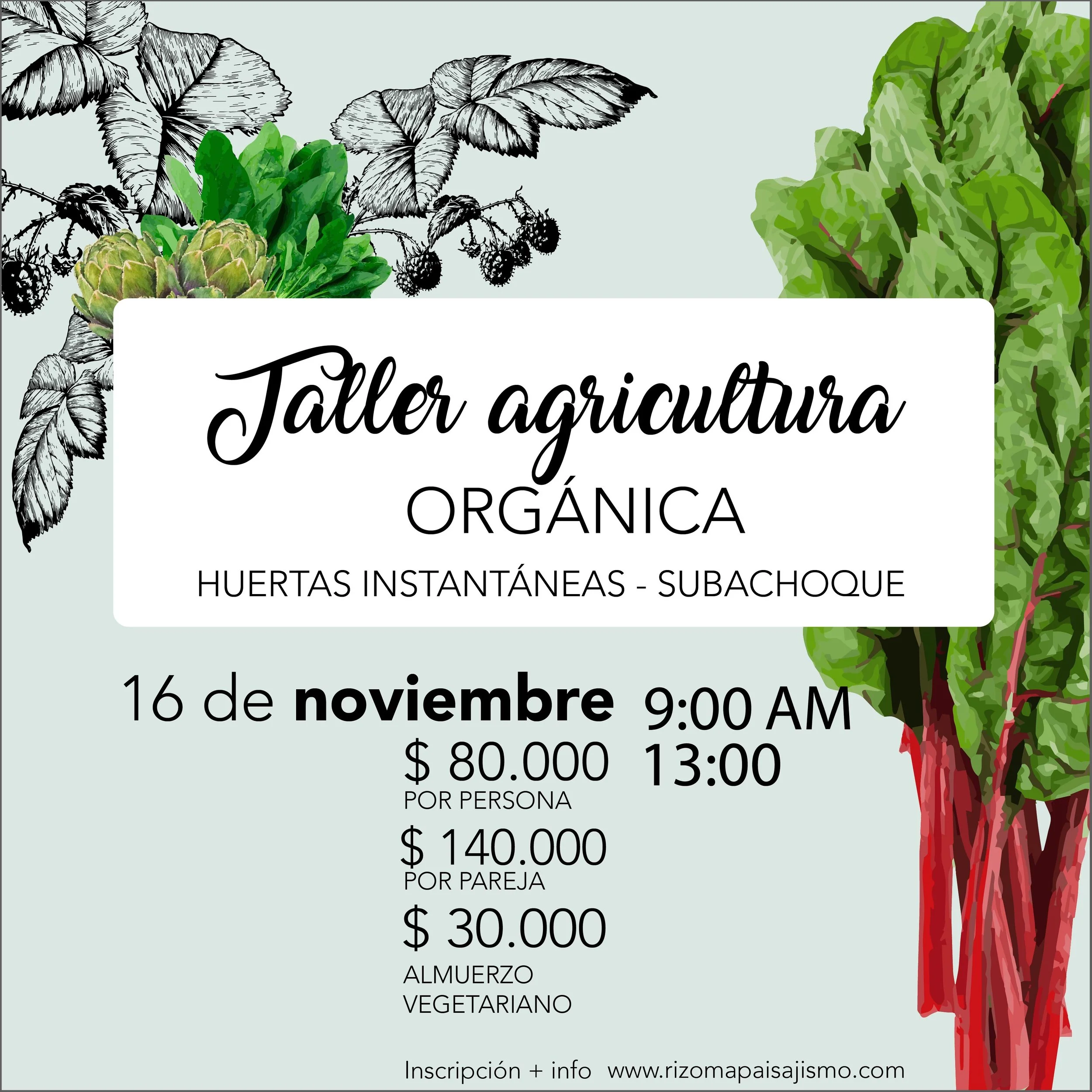 TALLER 16 de Noviembre