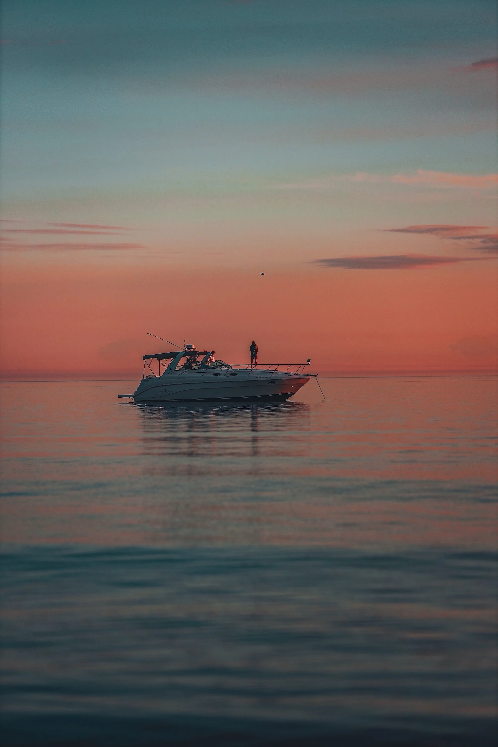 Image 15.JPG