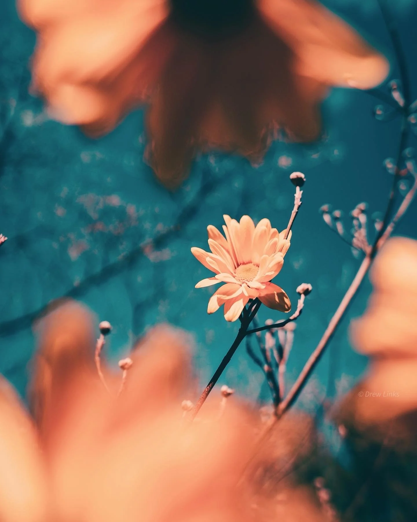 CC456810-5F10-4D7C-86C5-C89F83B4260D.JPG