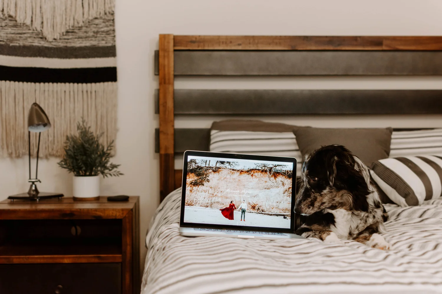 Website Launch!!! | Hampton Roads Photographer — Hannah Payne Photography