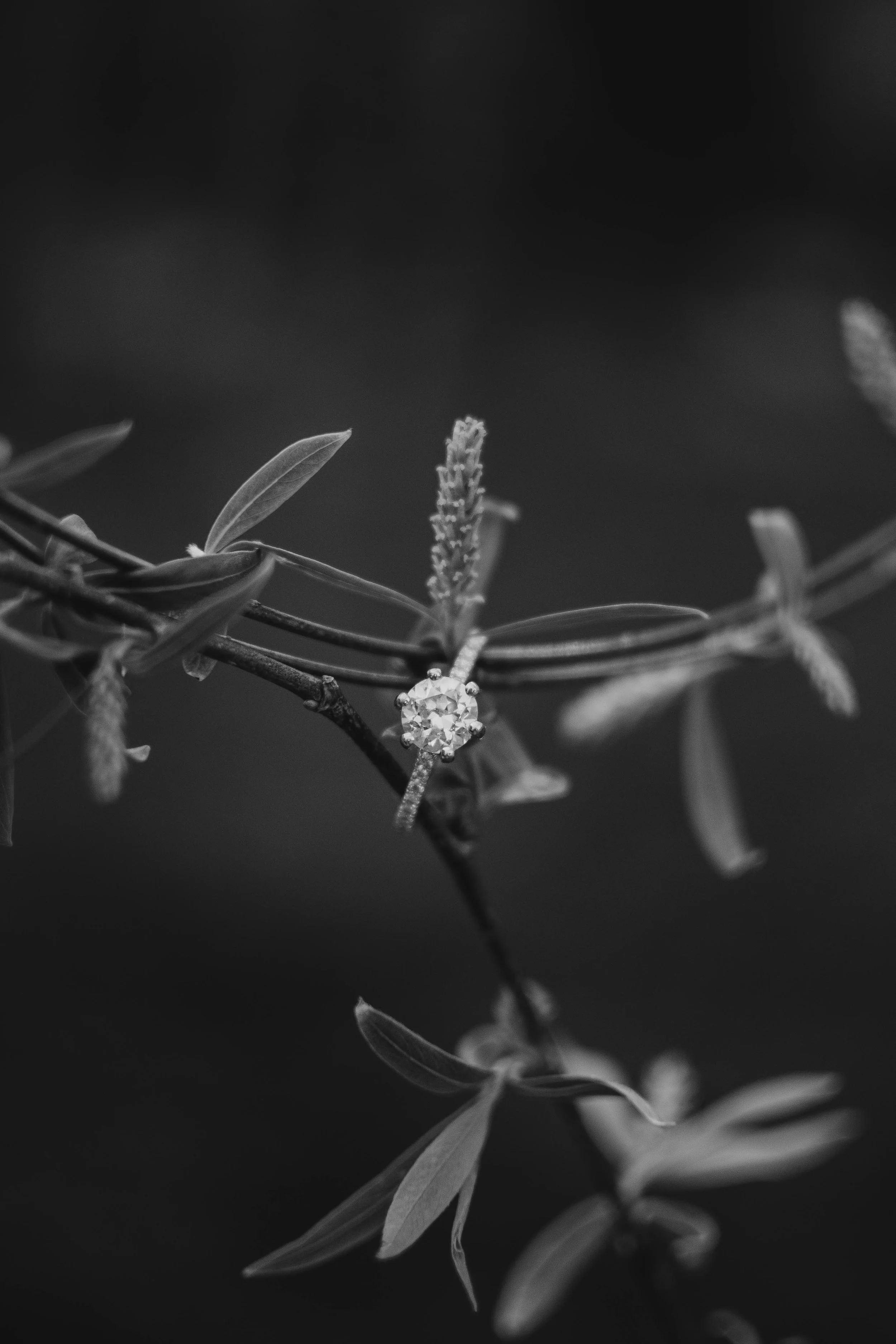 DSC_0291.jpg