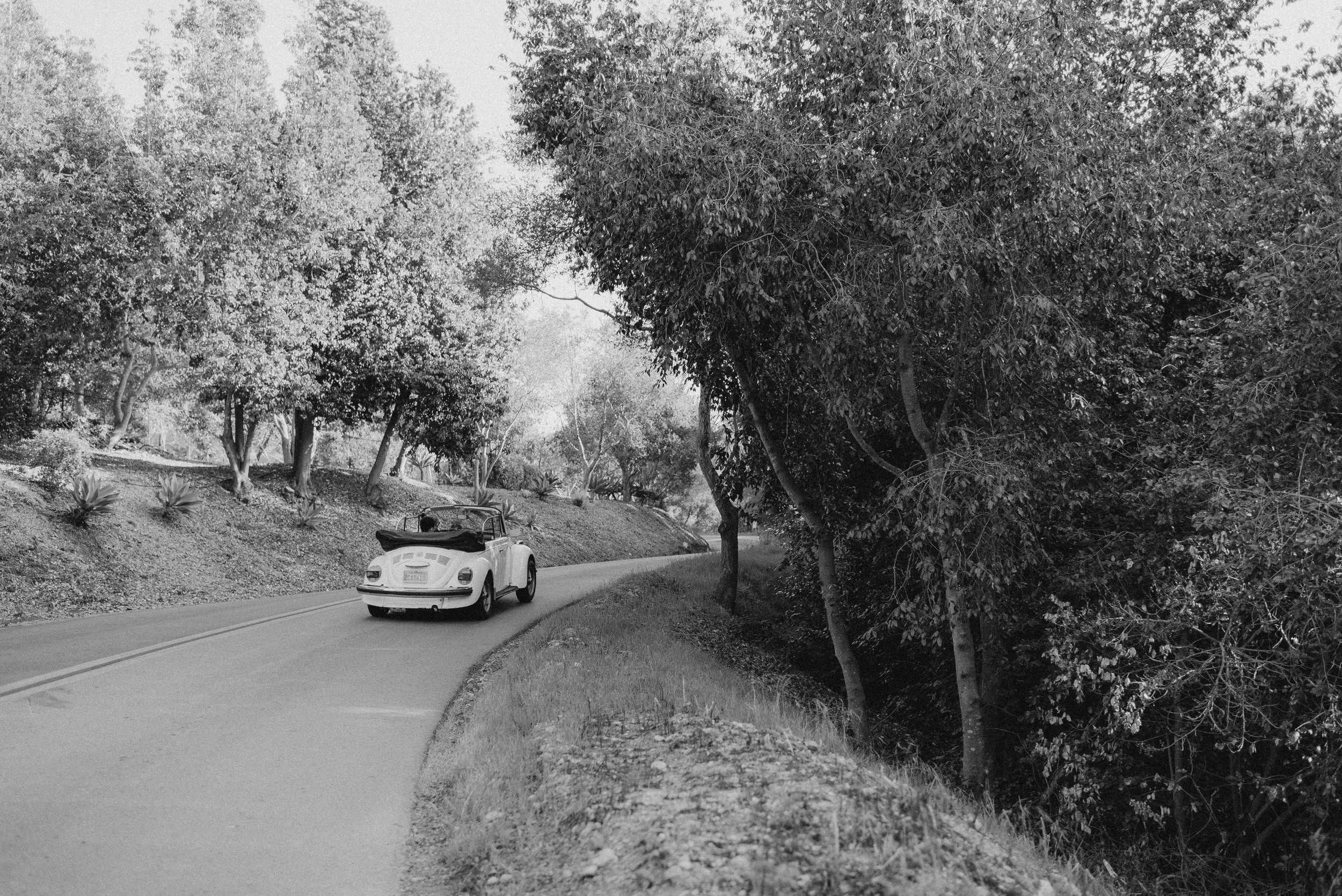 Santa Barbara Elopement | Virginia Destination Wedding Photographer | Shelby + Peter