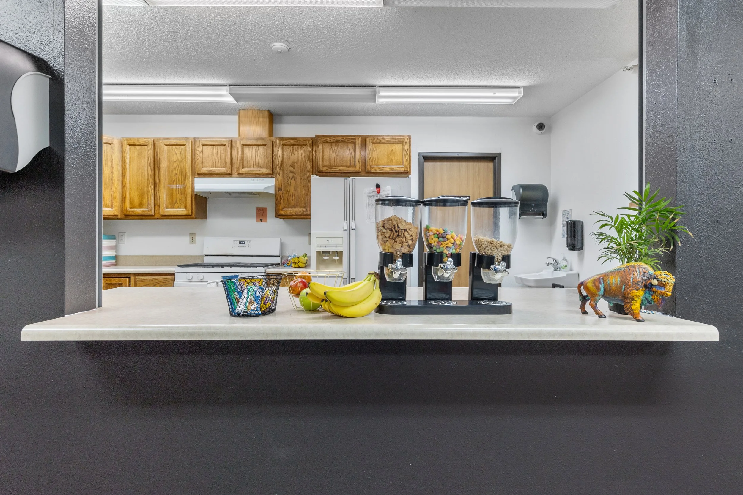 405EFairlaneDr17.jpg