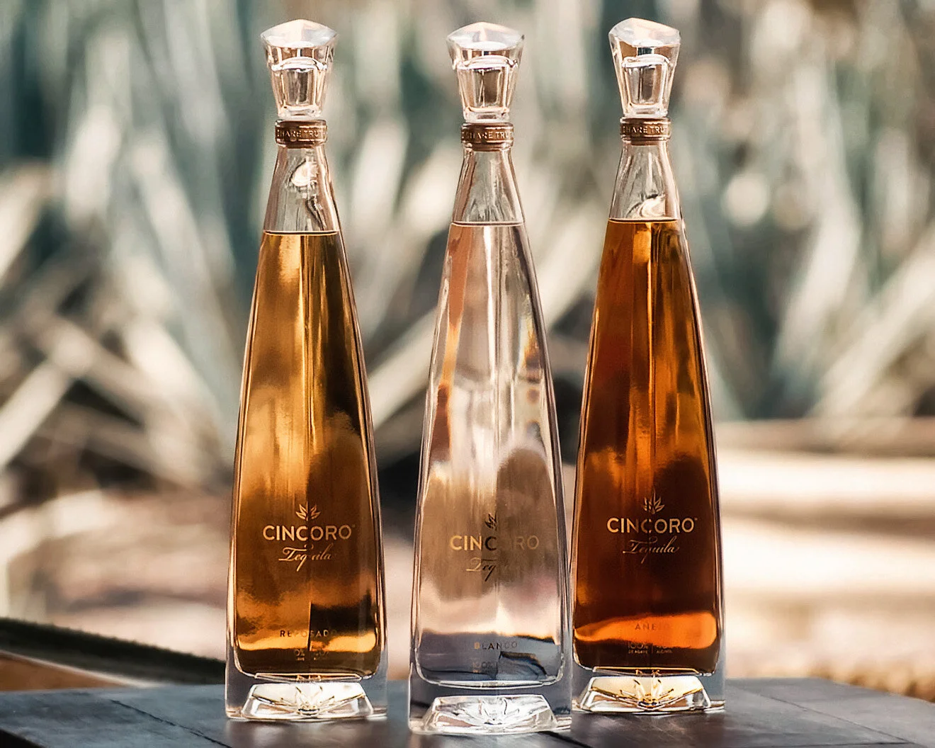 Bottles 08.jpg