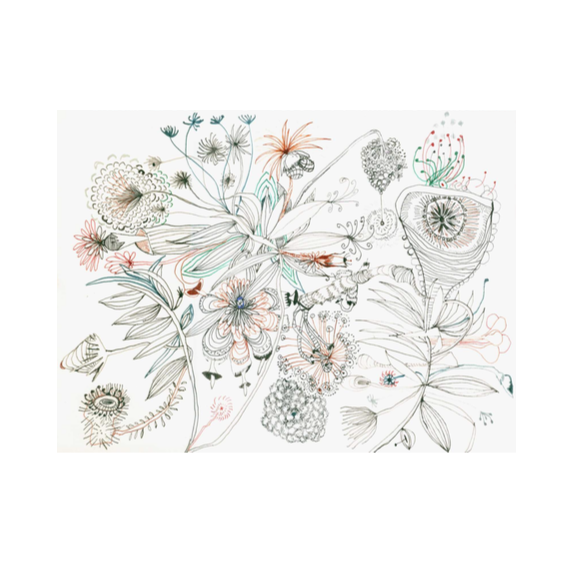 Screen Shot 2019-01-06 at 9.28.03 PM.png