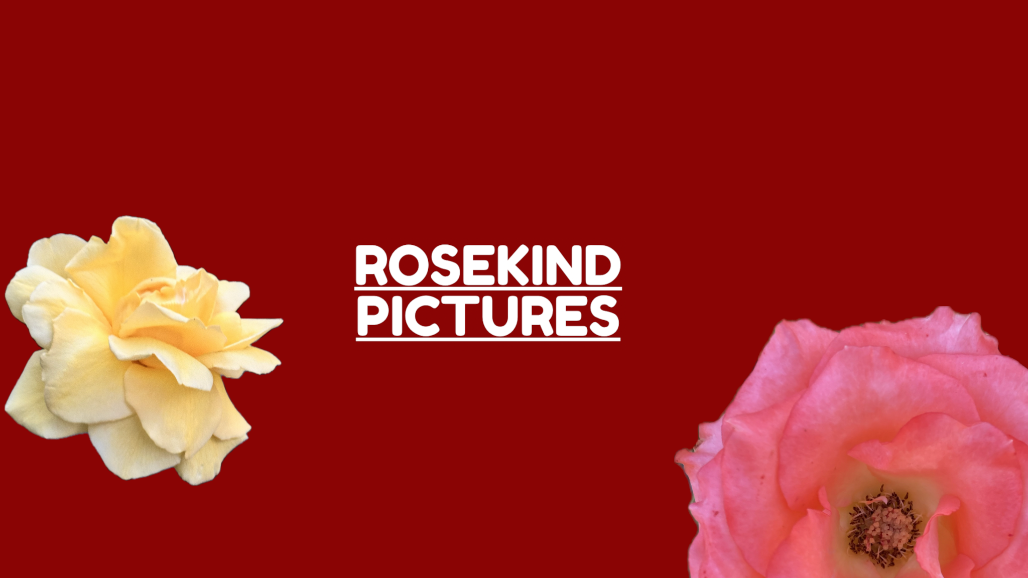 FINAL_ROSEKIND_SPLASH_3.png