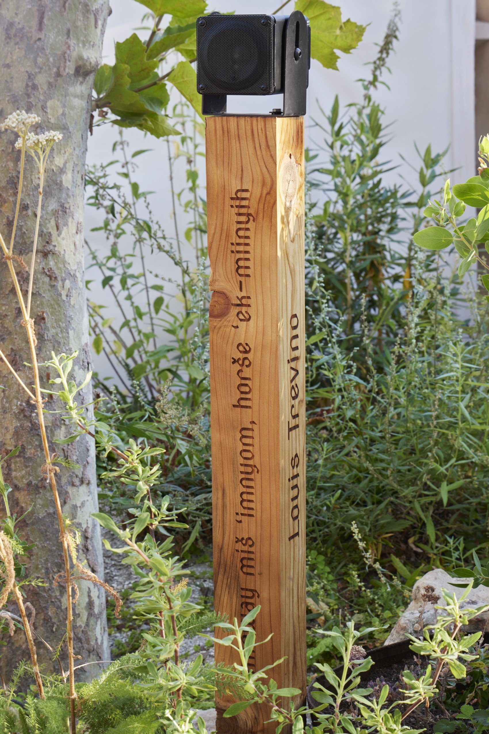  Photo credit:  Caitlin Atkinson ,  Terremoto  