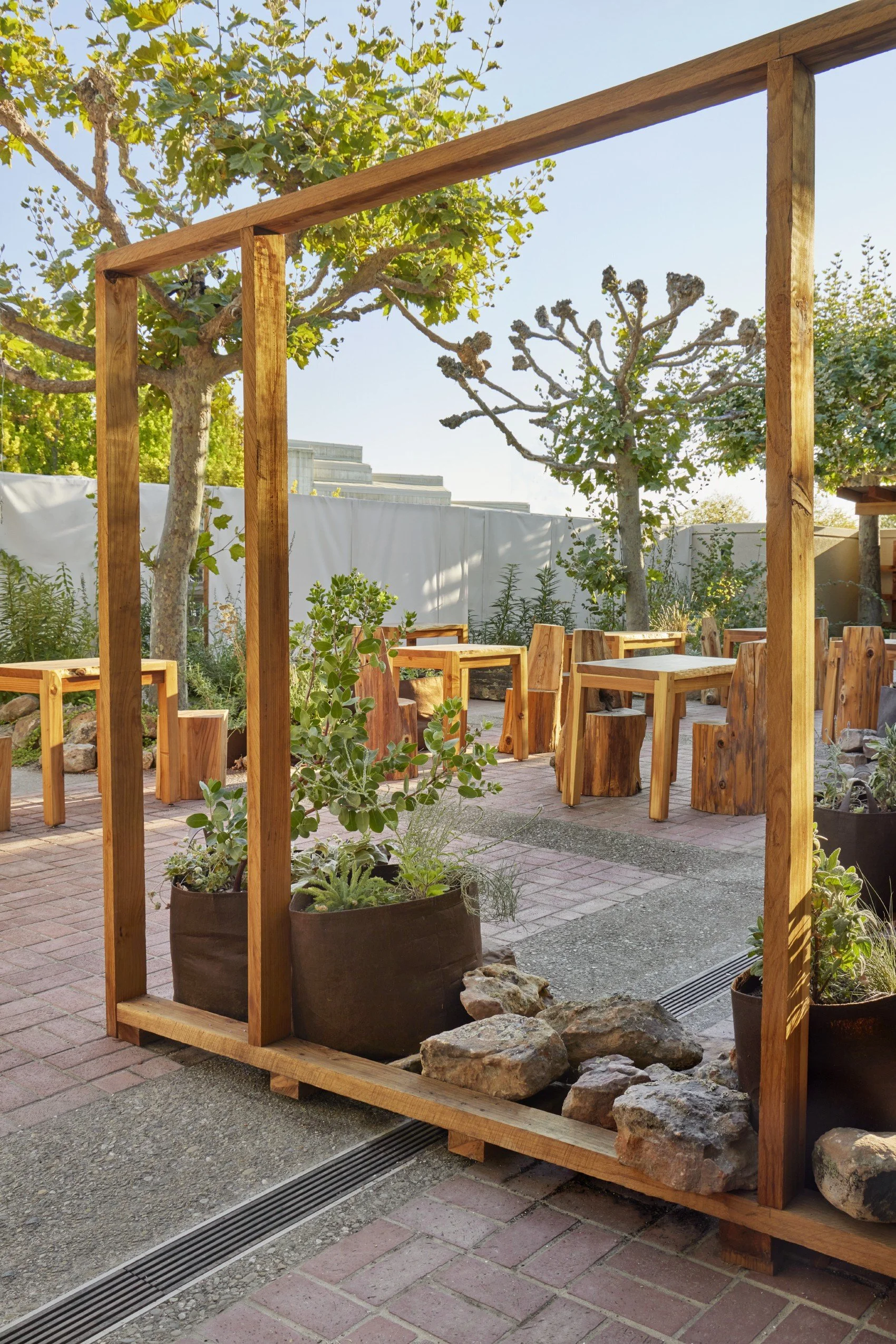  Photo credit:  Caitlin Atkinson ,  Terremoto  