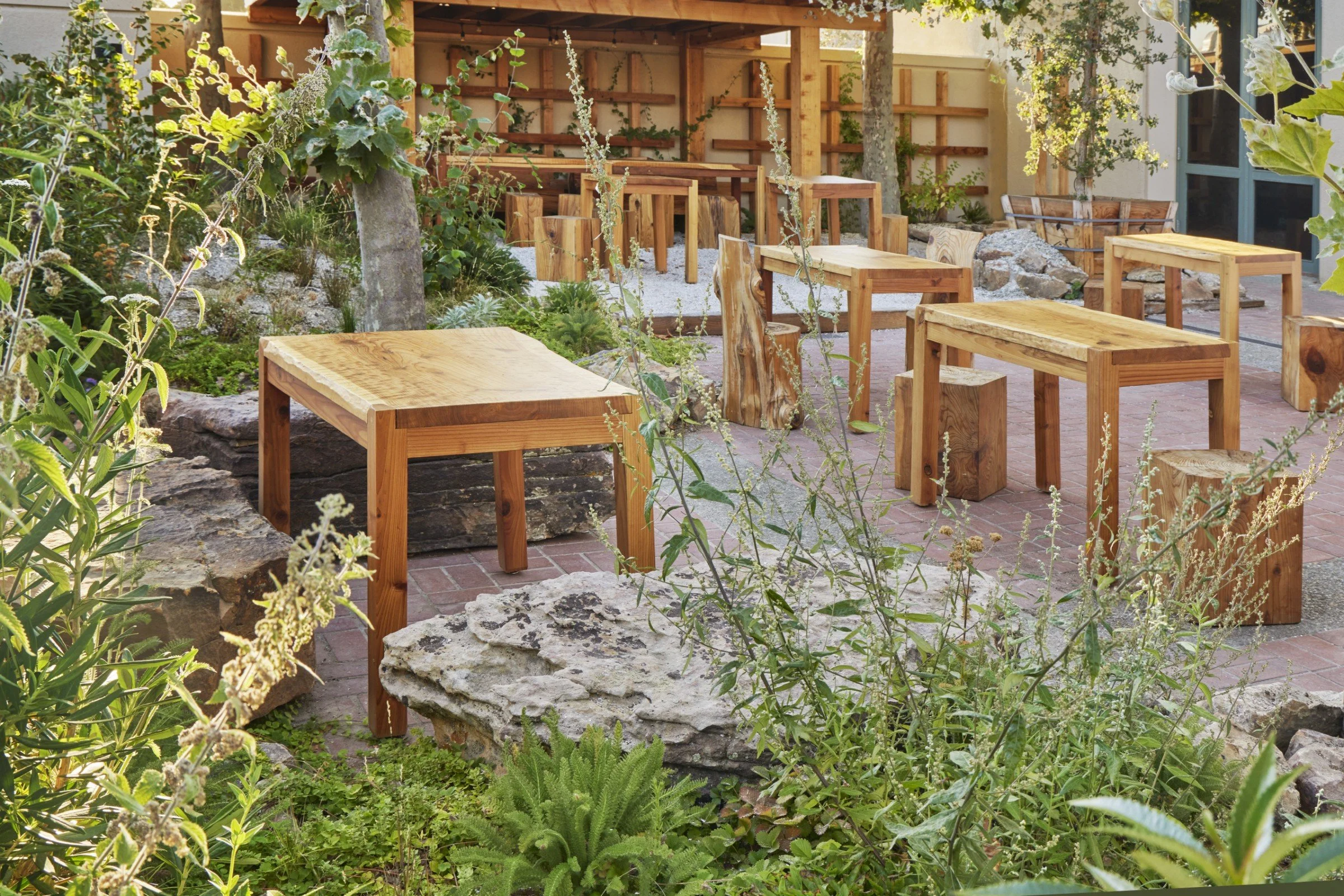  Photo credit:  Caitlin Atkinson ,  Terremoto  