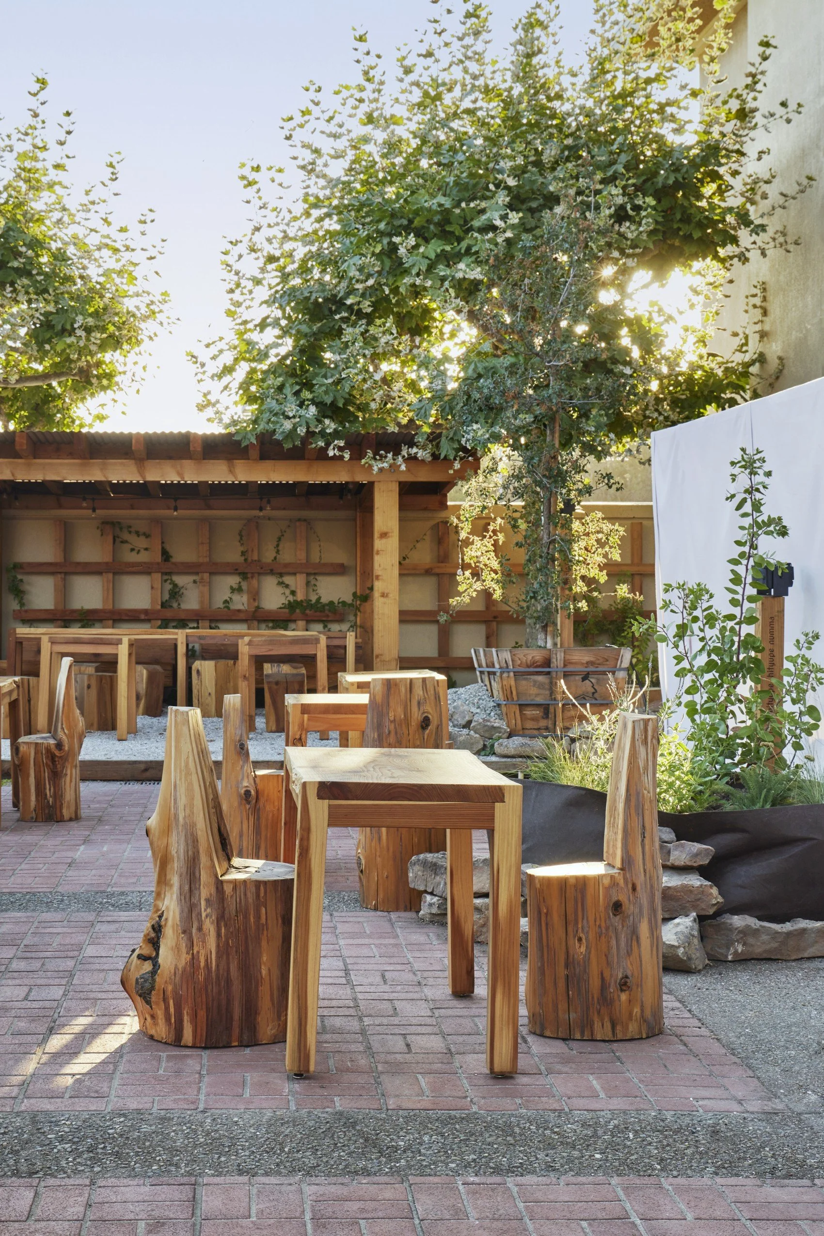  Photo credit:  Caitlin Atkinson ,  Terremoto  