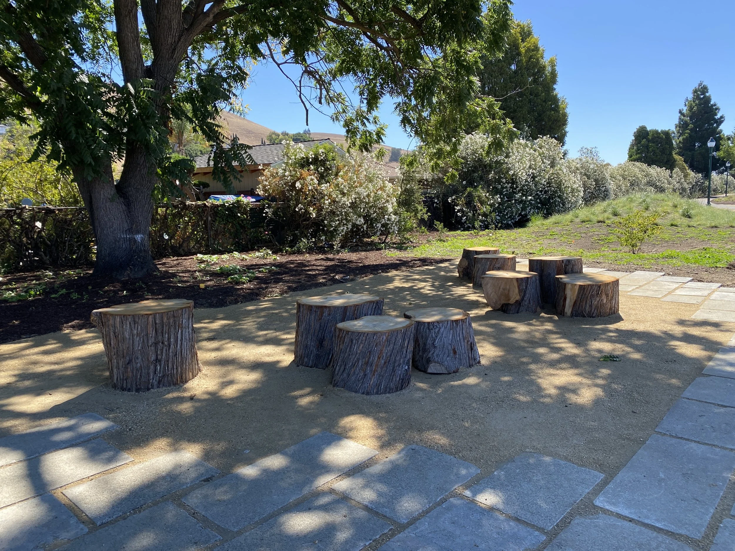 Hayward Linear Park 9743.JPG