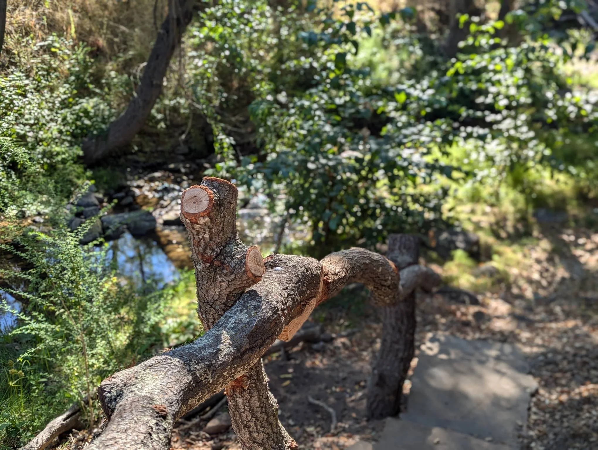 WhatsApp Image 2024-09-22 at 9.12.47 AM.jpeg