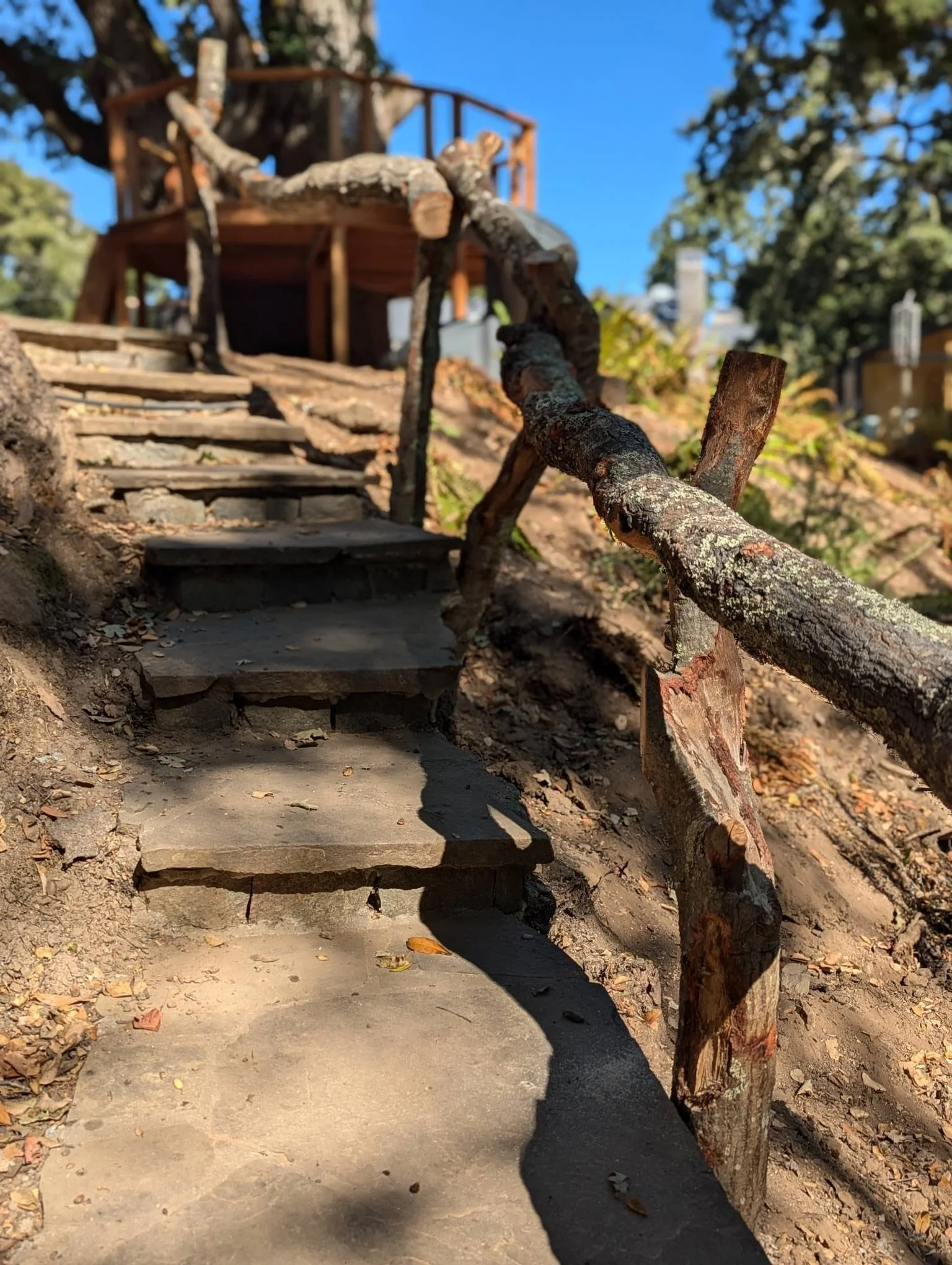 WhatsApp Image 2024-09-22 at 9.12.39 AM.jpeg