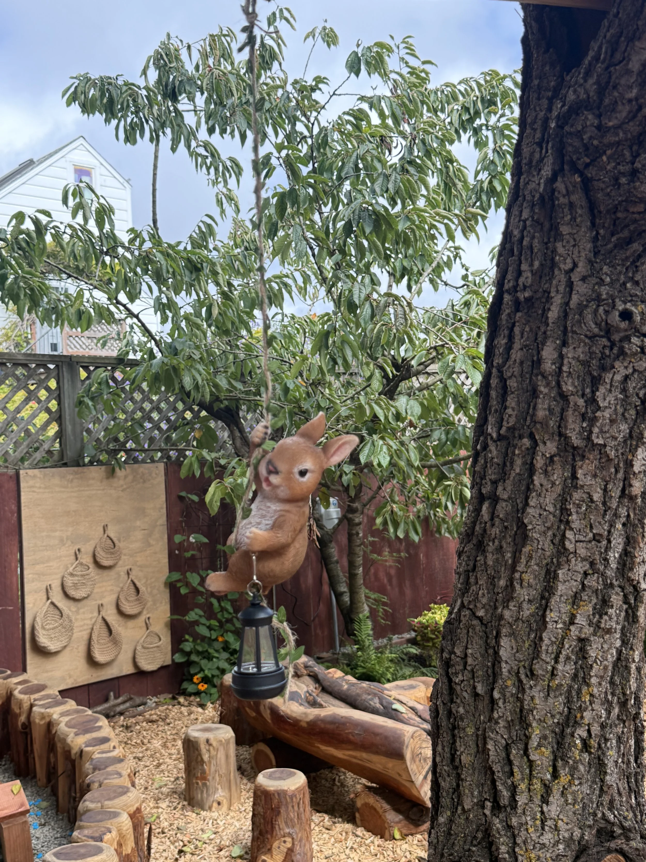 IMG_0073.jpeg