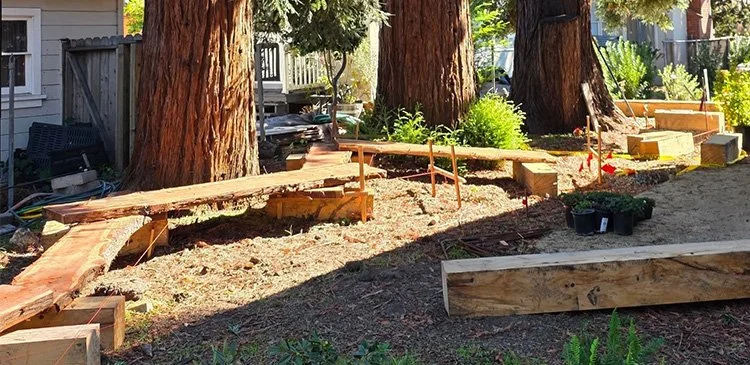 Wood Walkway