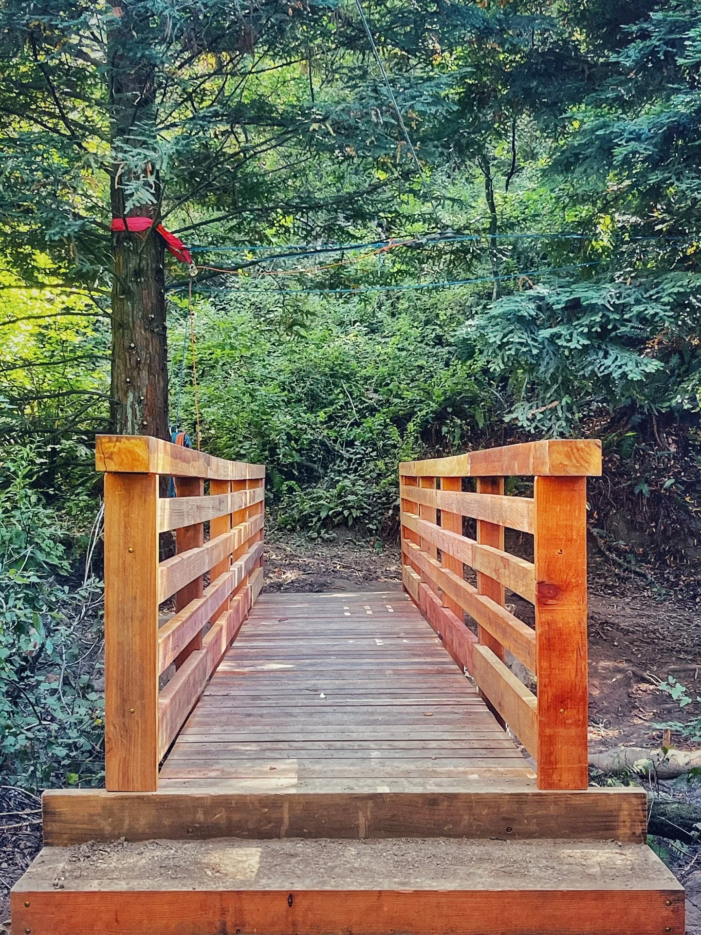 Bridge from Instagram.jpg